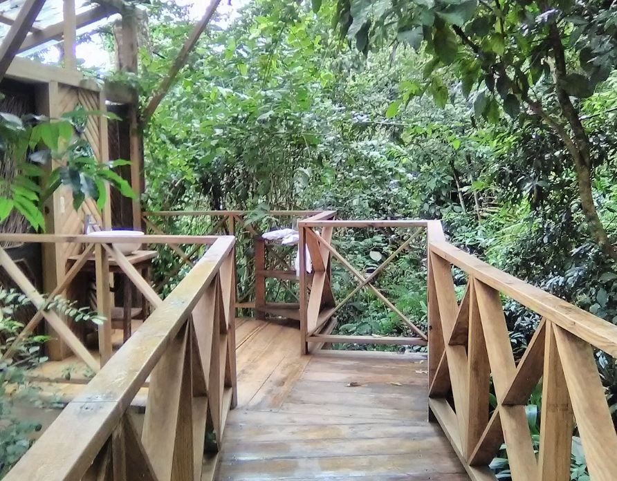 Fachada de madera y techos de paja del Unique Exotic Eco Hotel en Punta Cana
