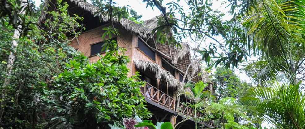 Transportation from Punta Cana Airport to Unique Exotic Eco Hotel