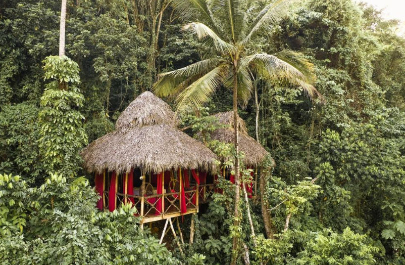 Transportation from Punta Cana Airport to Dominican Tree House Village