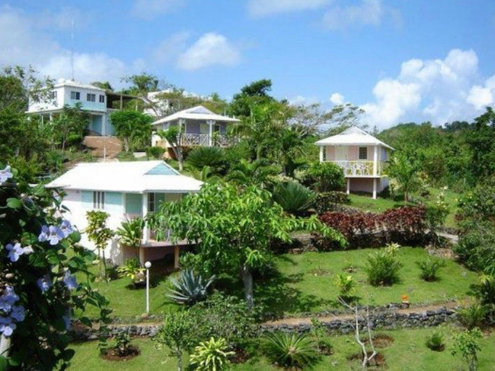 Transportation from Punta Cana Airport to Las Mariposas