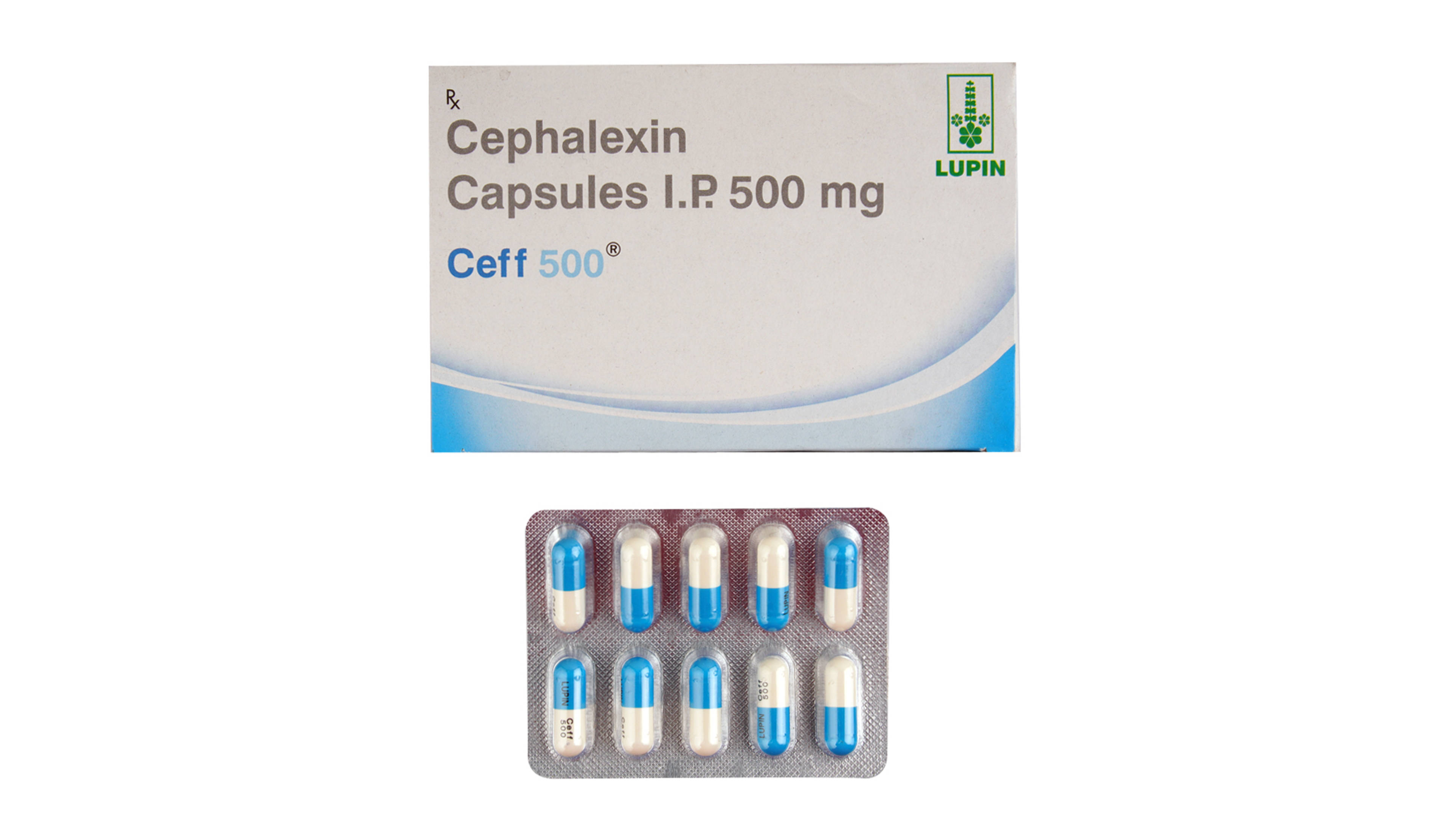 CEFF 500MG 10CAP- 1, 10CAP, 