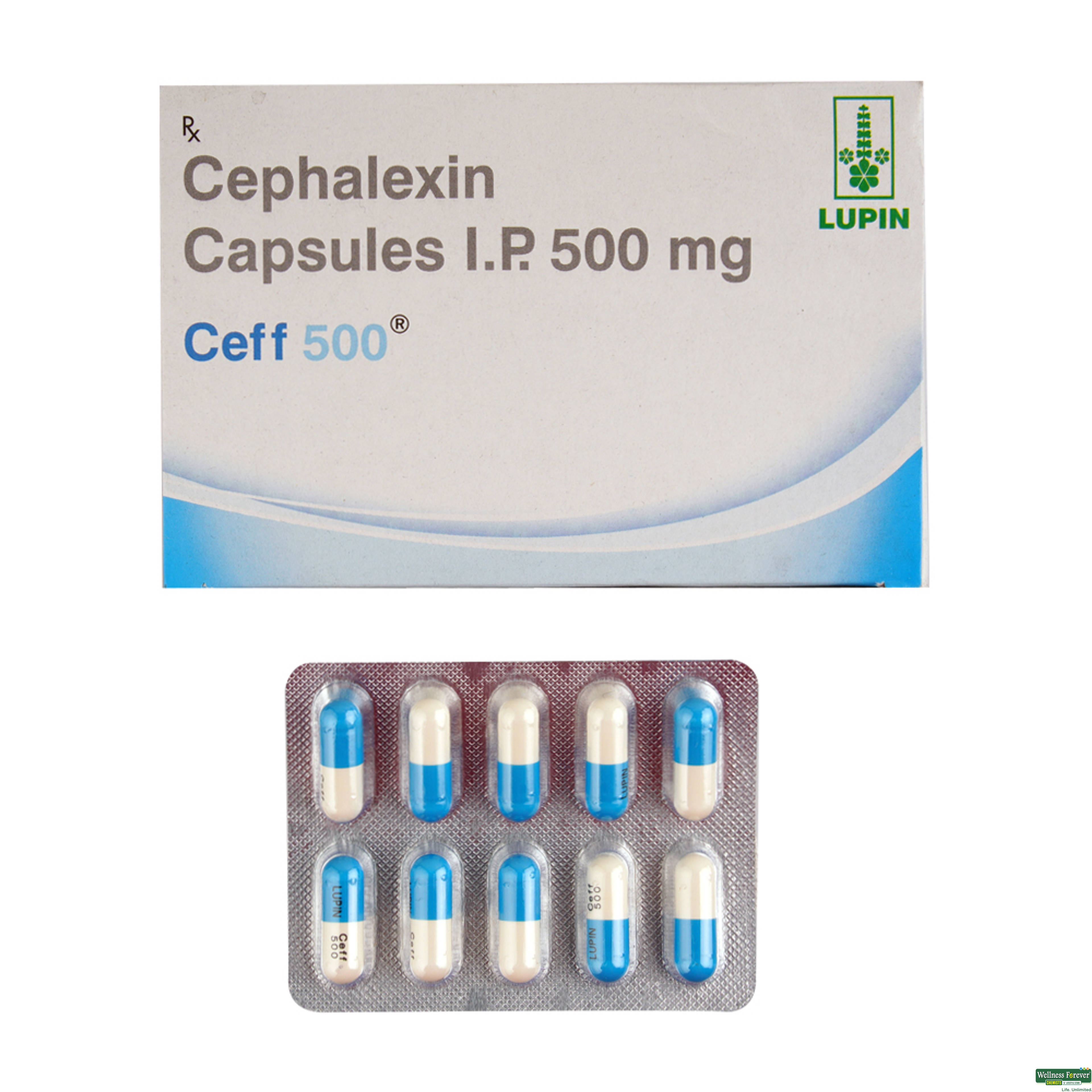 Ceff 500mg 10 Capsules-image