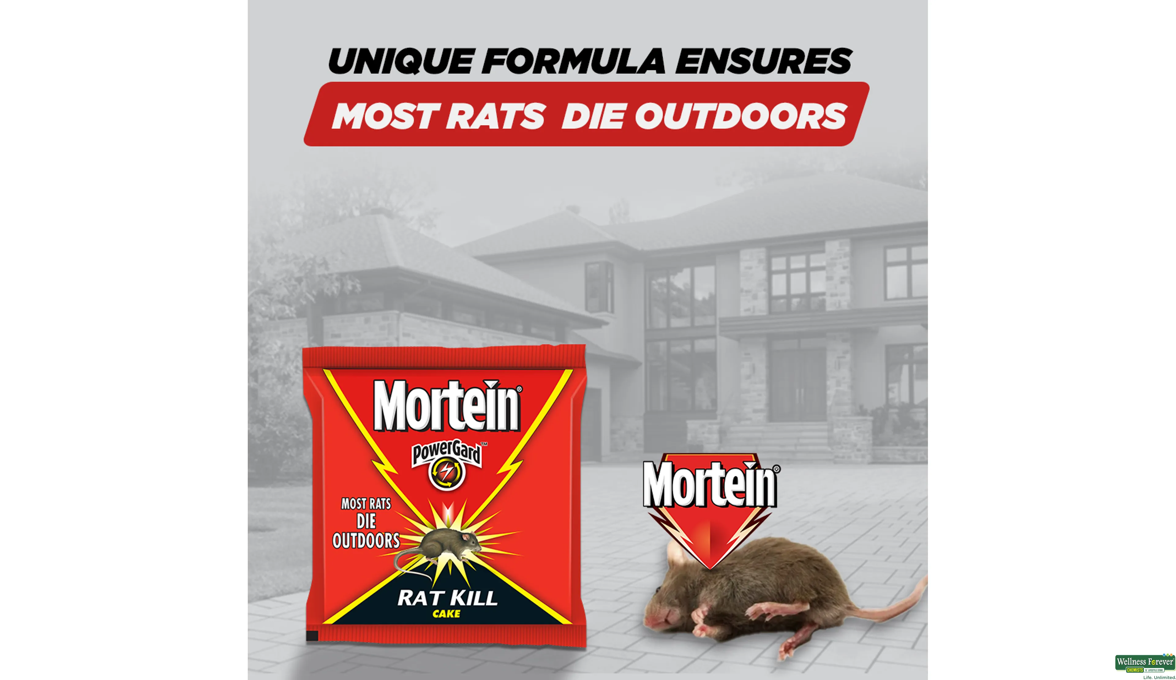 Buy Mortein PowerGard Rat Kill Cake, 100 g Online at Best Prices