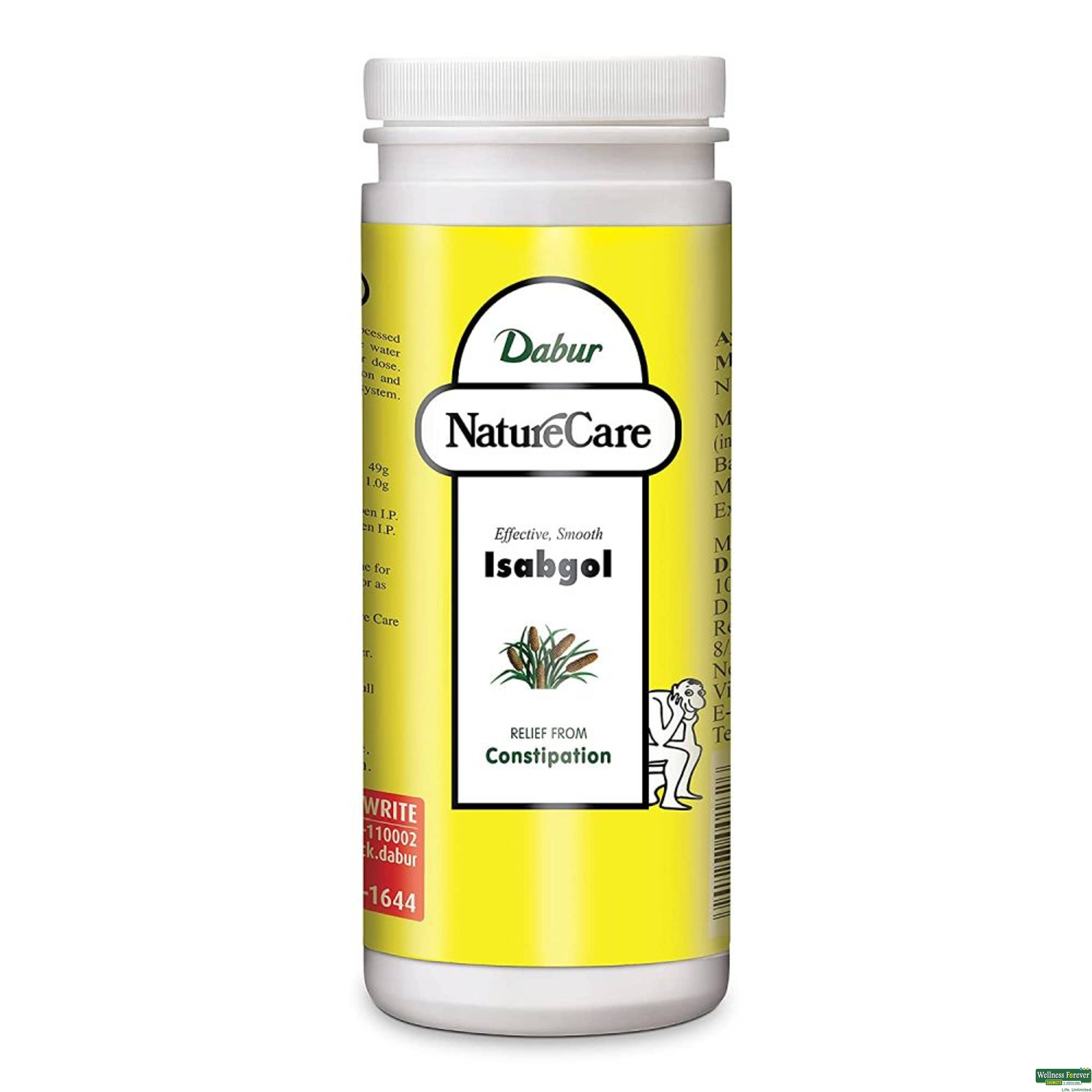 Dabur Naturecare Isabgol Powder, 375 g-image