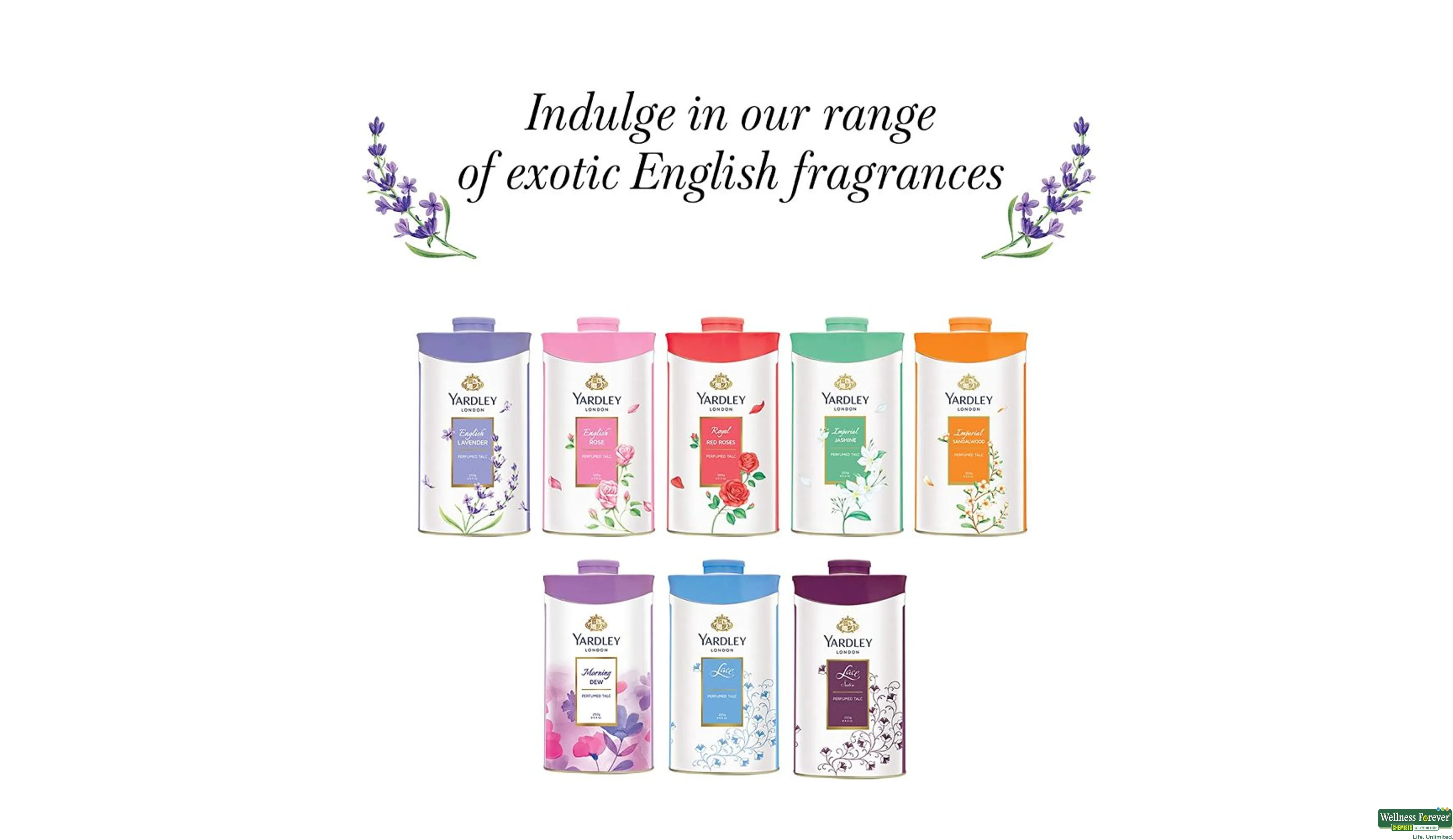 English lavender powder top