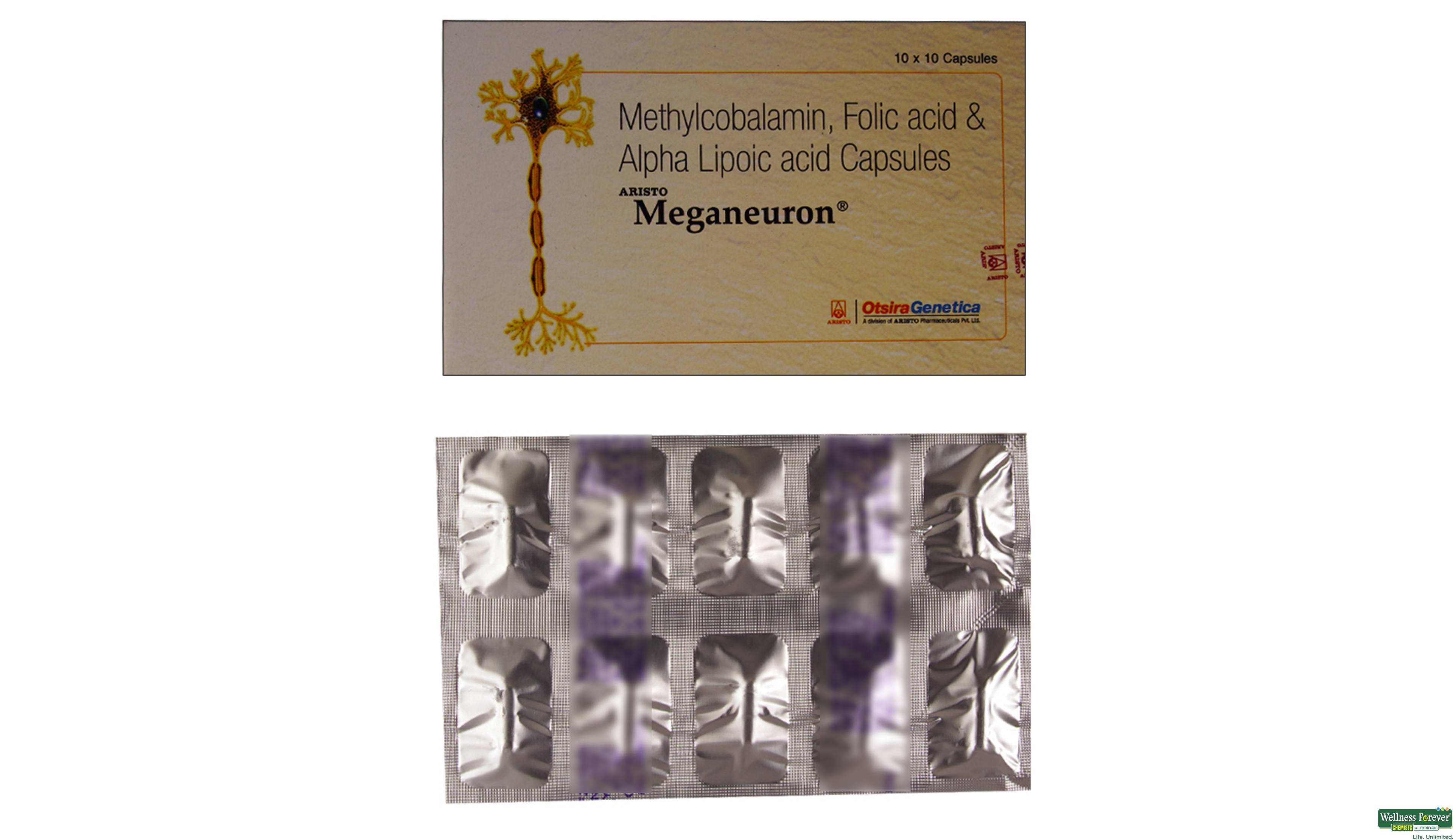 MEGANEURON 10CAP- 1, 10CAP, null