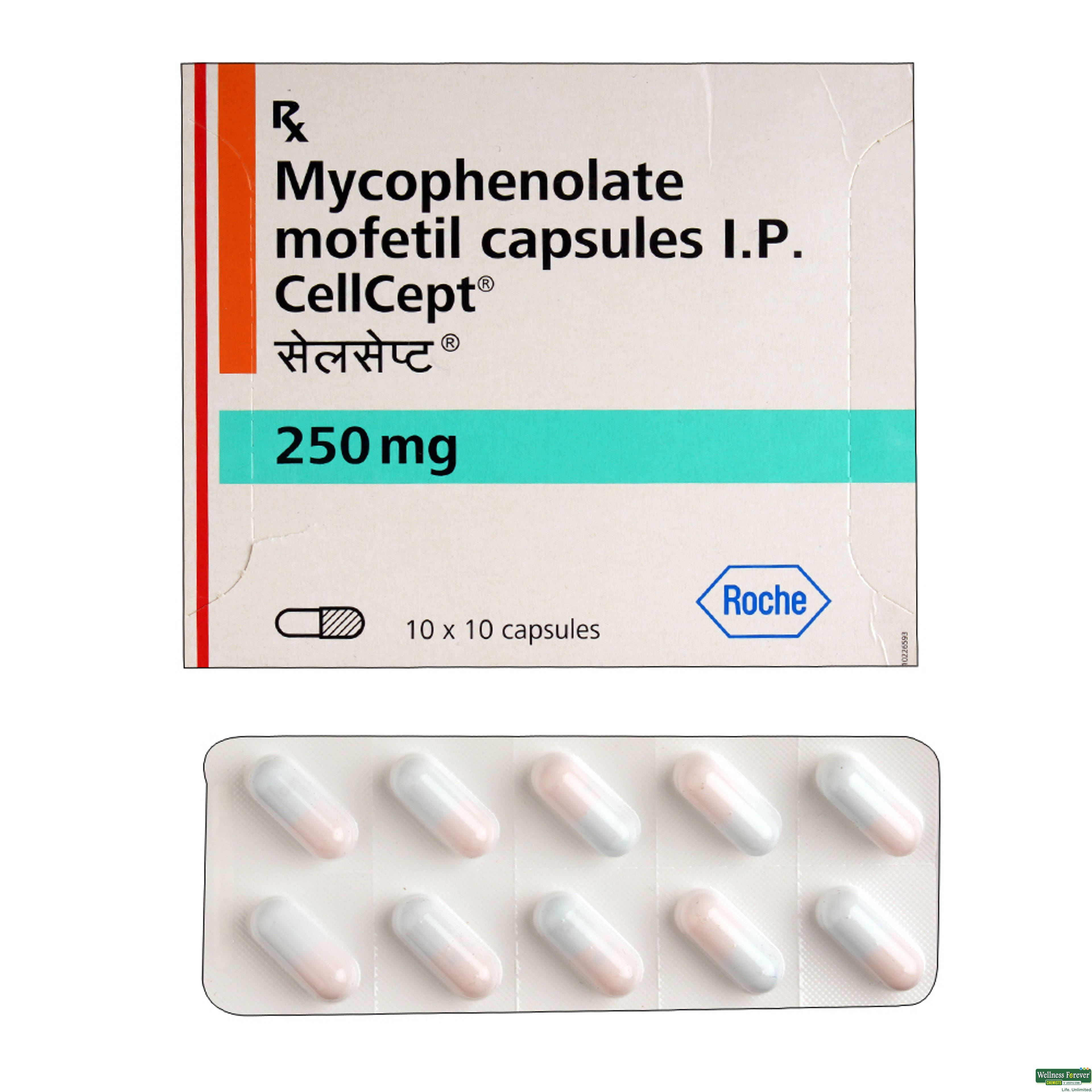 CELLCEPT 250MG 10CAP-image