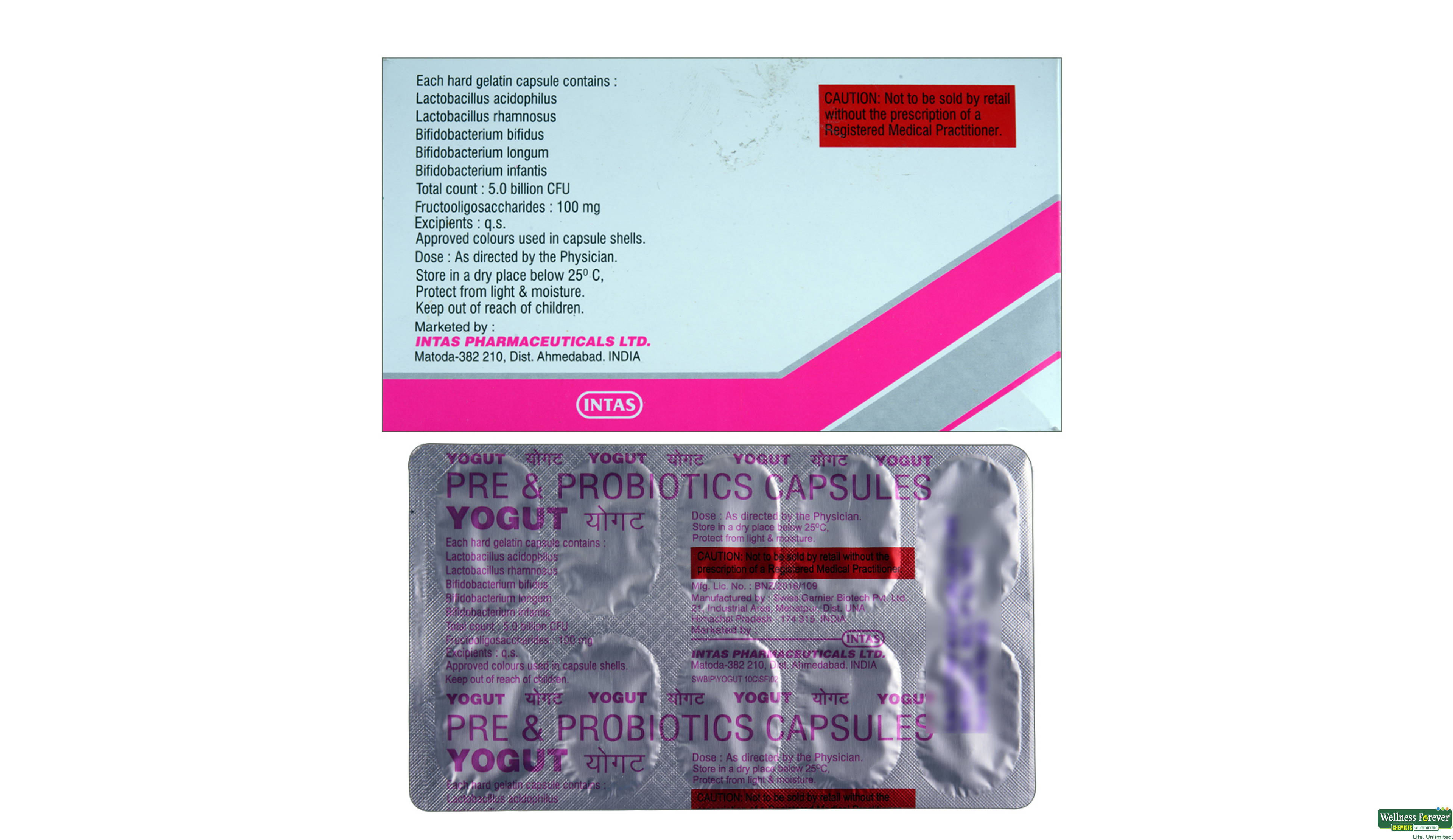 YOGUT 10CAP- 2, 10CAP, 
