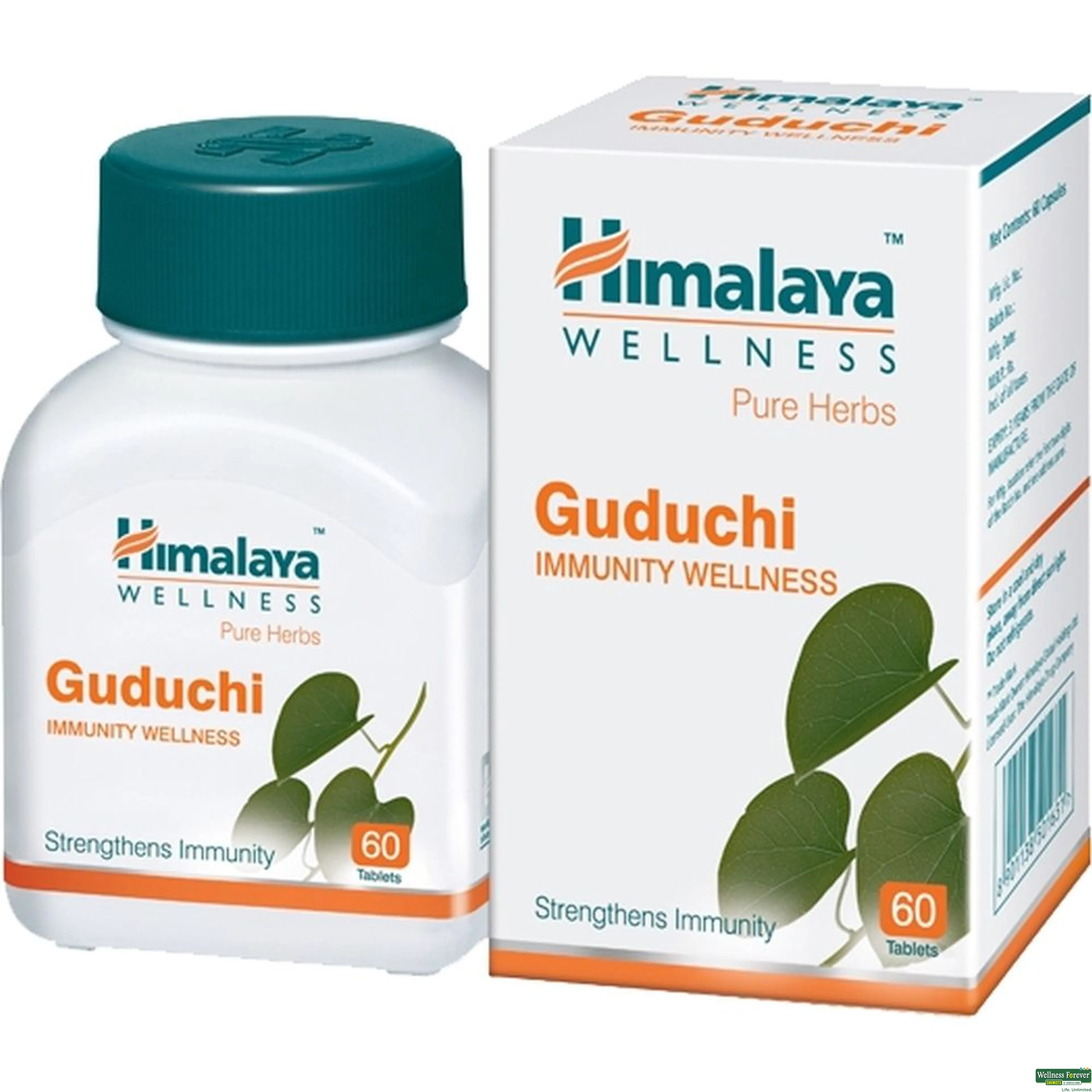 GUDUCHI 60TAB-image