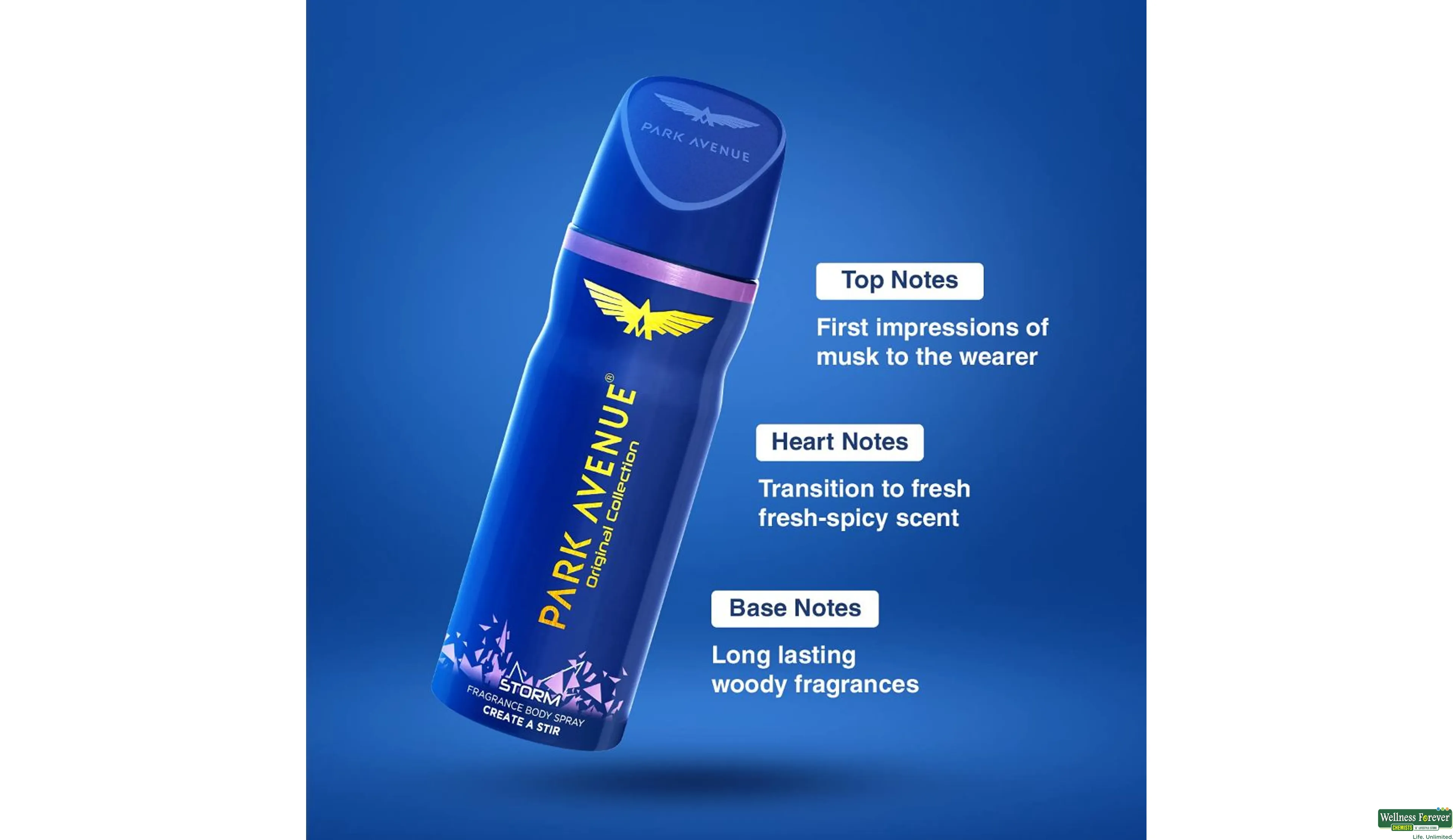 Buy Park Avenue Storm Deodorant for Men 150 ml Online at Best