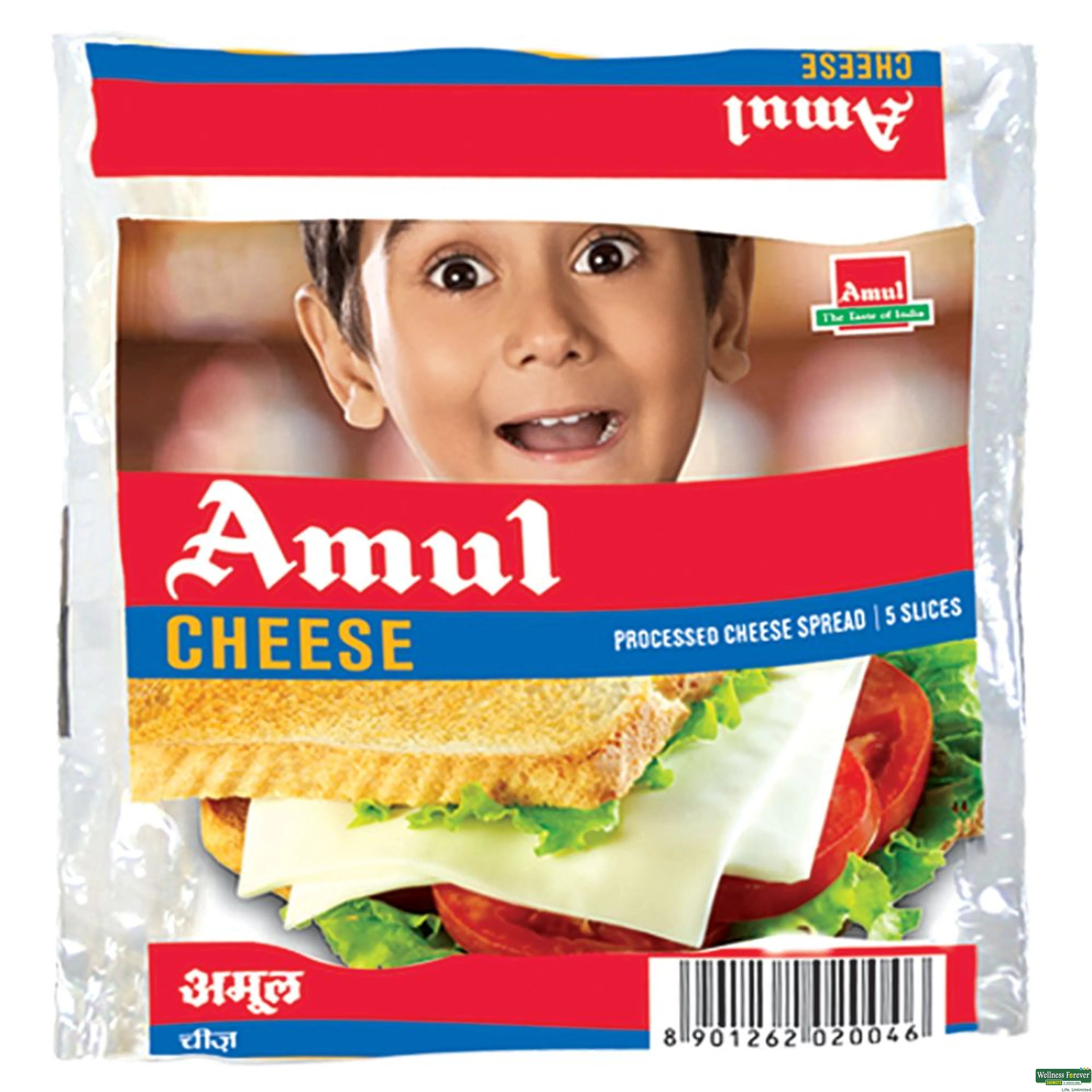 AMUL CHEESE SLICES 100GM-image