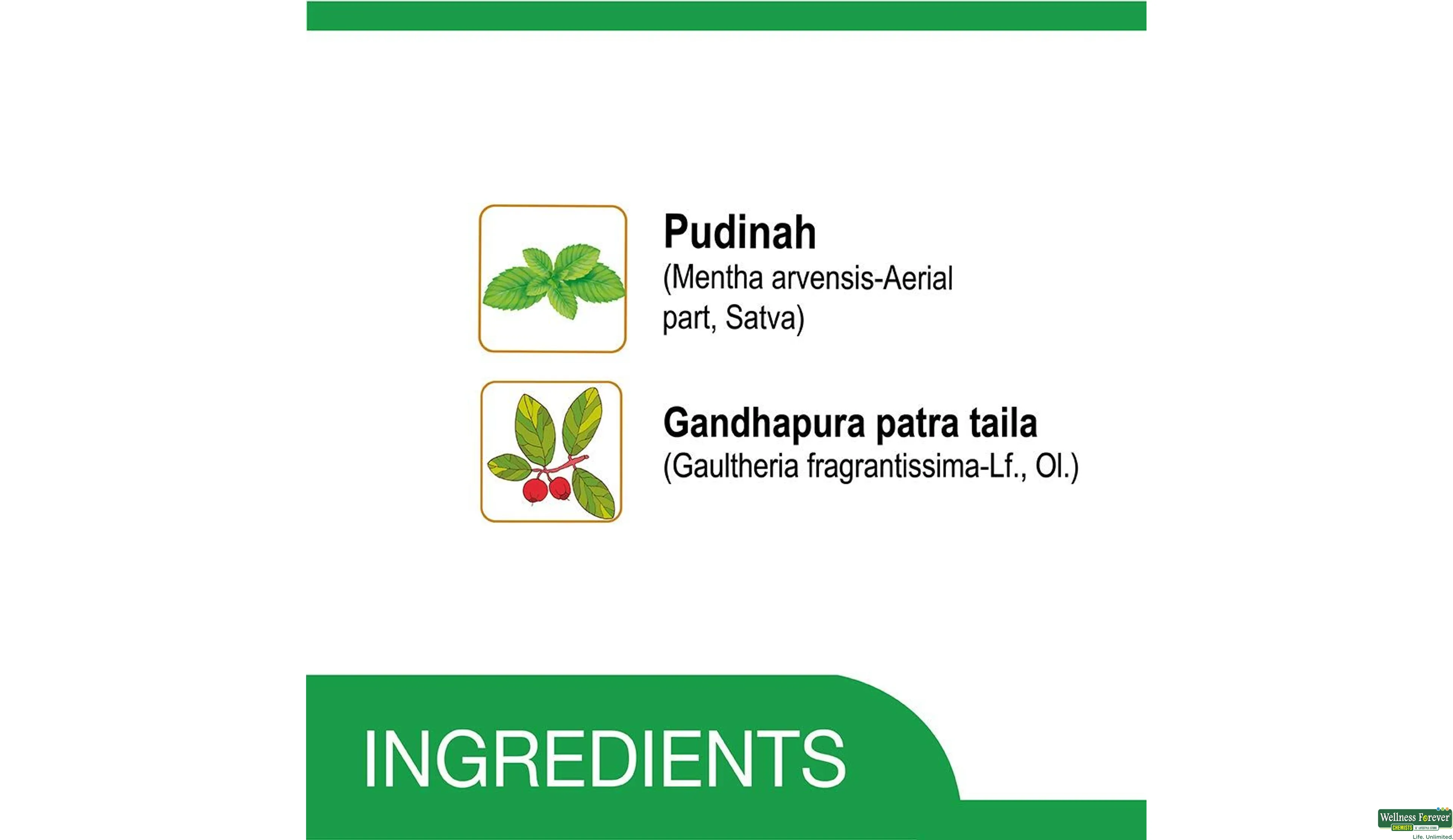 AMRUTANJAN BALM GREEN 24.75GM- 4, 24.75GM, 