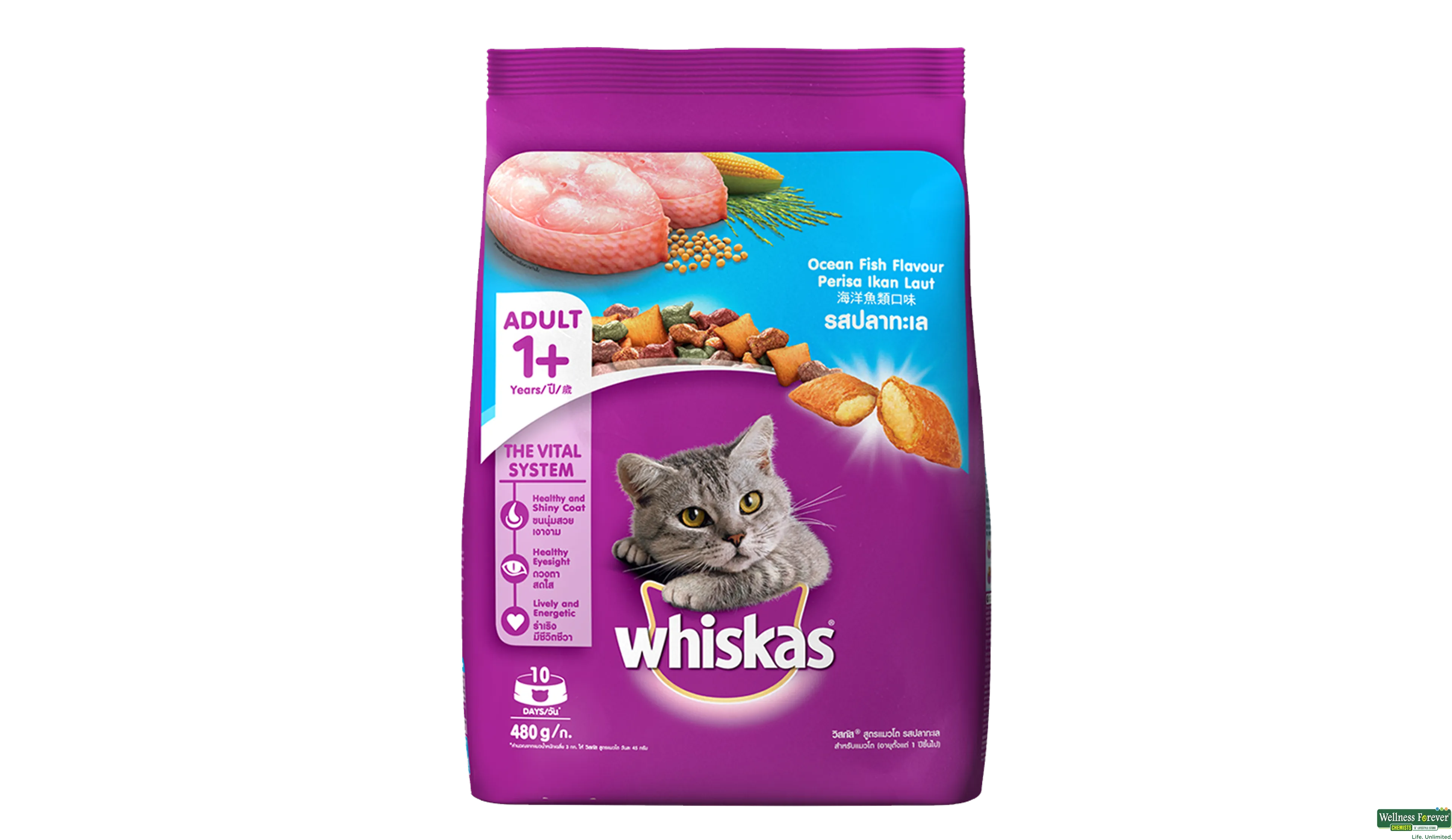 WHISKAS CAT FOOD WET OCEAN FISH 480GM- 1, 480GM, null