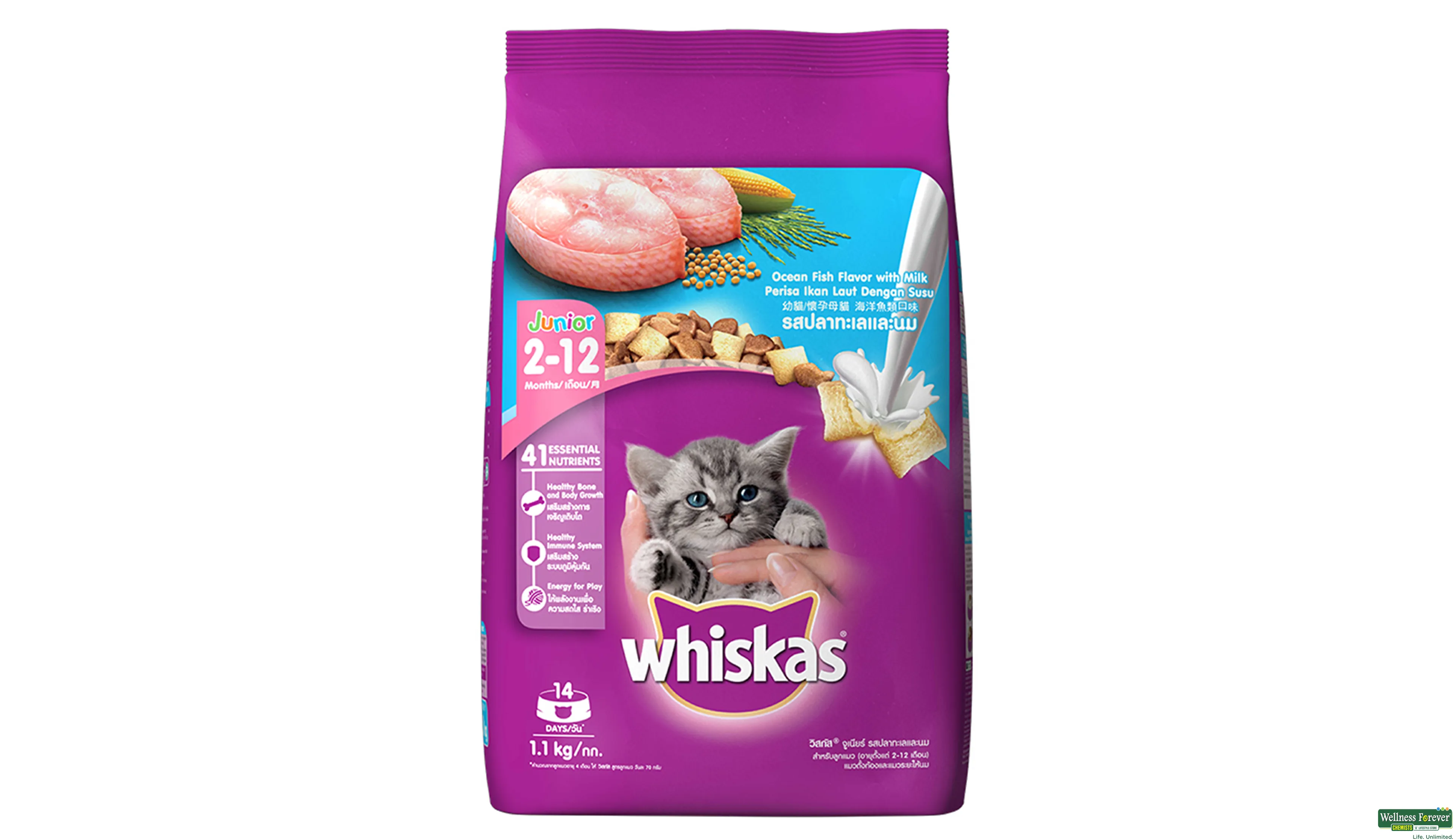 WHISK CAT FOOD DRY JUNR OCEAN FISH 1.1KG- 1, 1.1KG, 