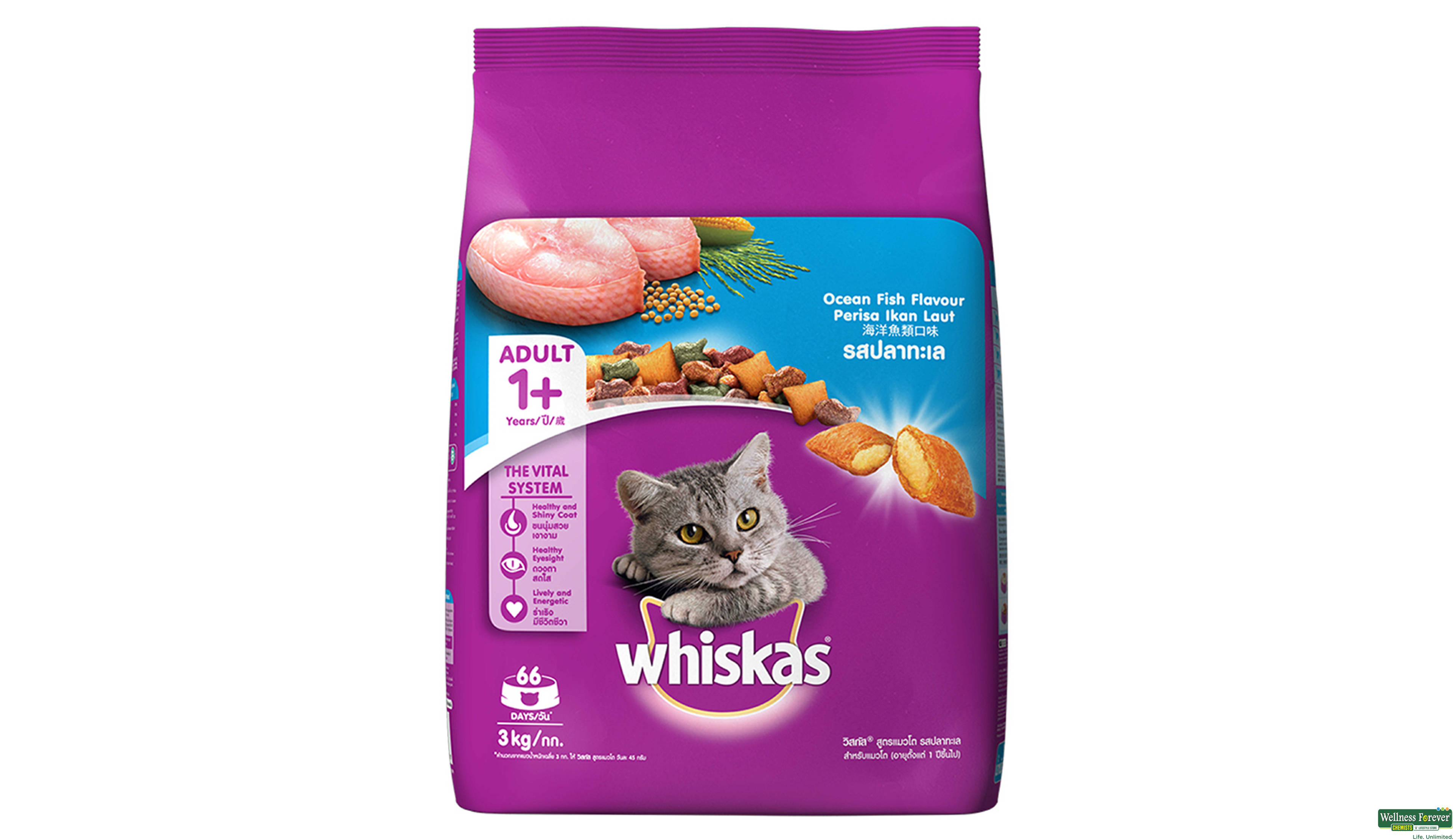 WHISKAS CAT FOOD DRY OCEAN FISH 3KG- 1, 3KG, null