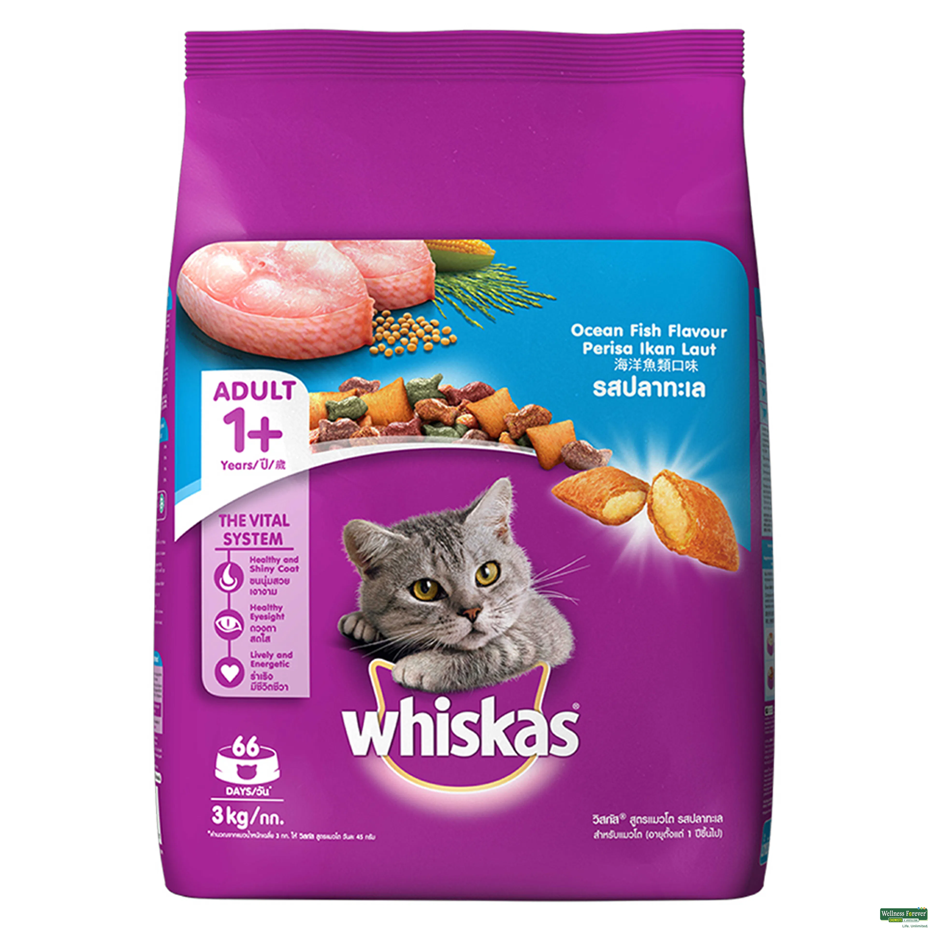 WHISKAS CAT FOOD DRY OCEAN FISH 3KG-image