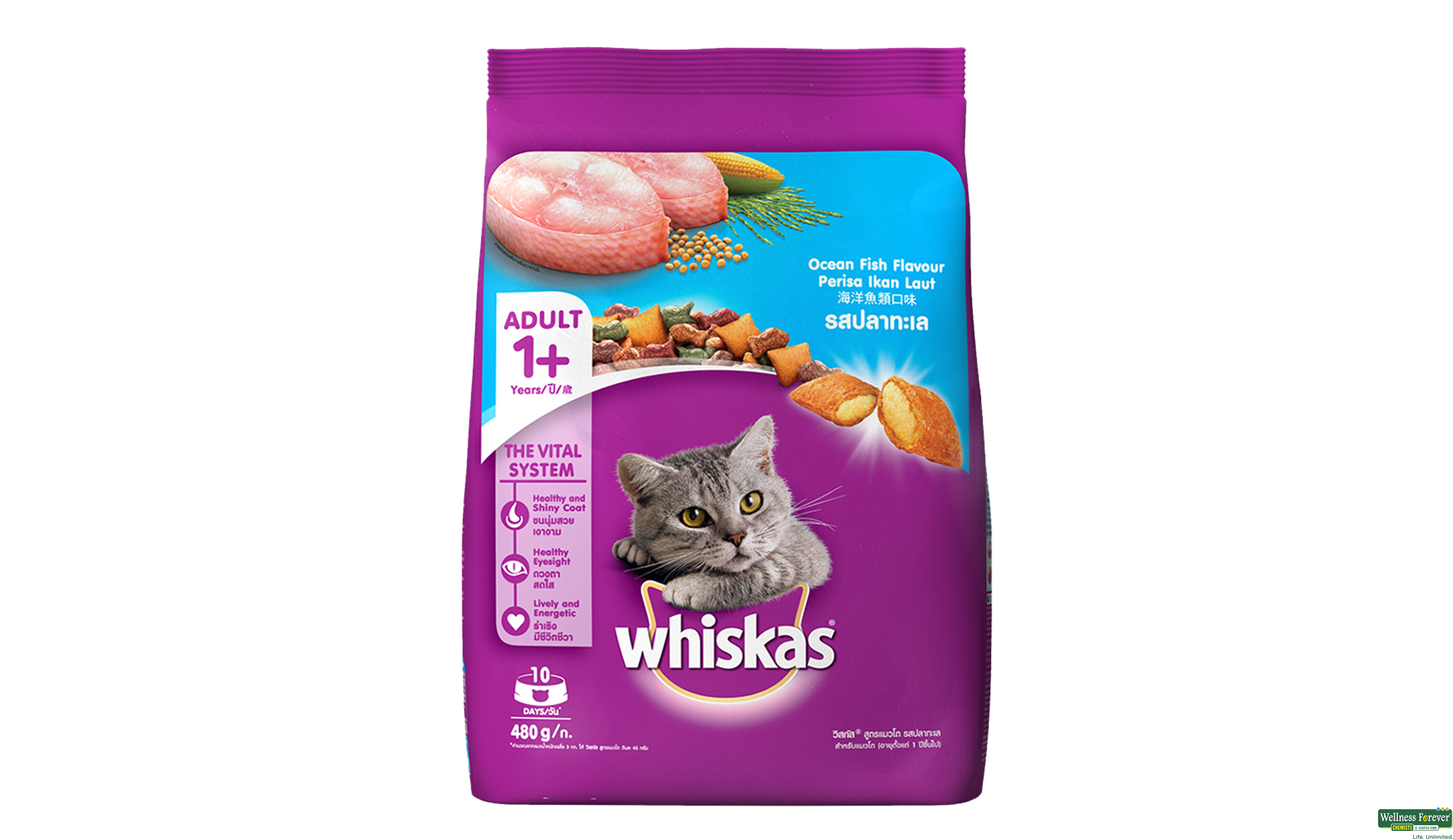 WHISKAS CAT FOOD DRY OCEAN FISH 480GM- 1, 480GM, null