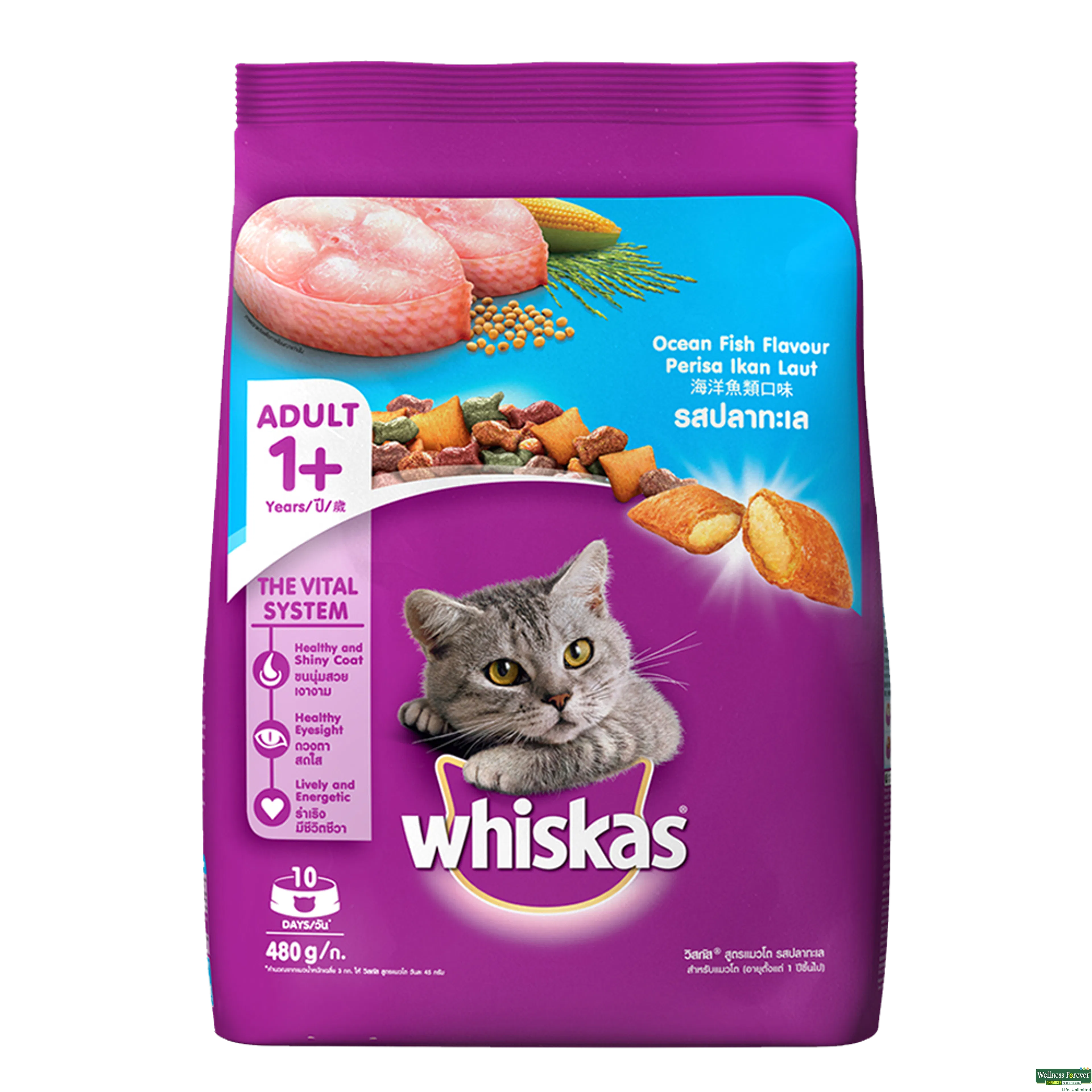 WHISKAS CAT FOOD DRY OCEAN FISH 480GM-image