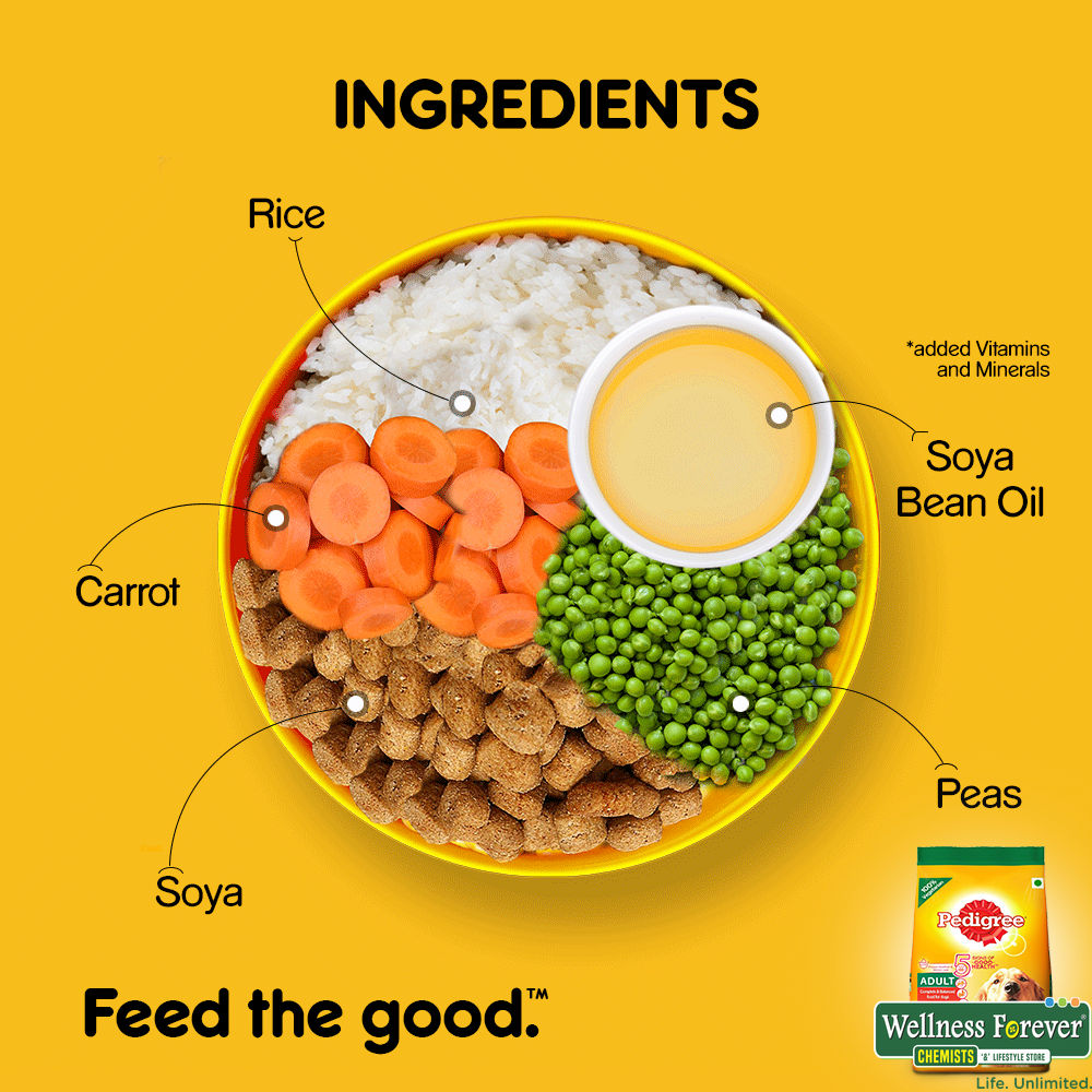 Buy Pedigree Adult Dry Dog Food Vegetarian 1.2 kg Online at Best Prices Wellness Forever