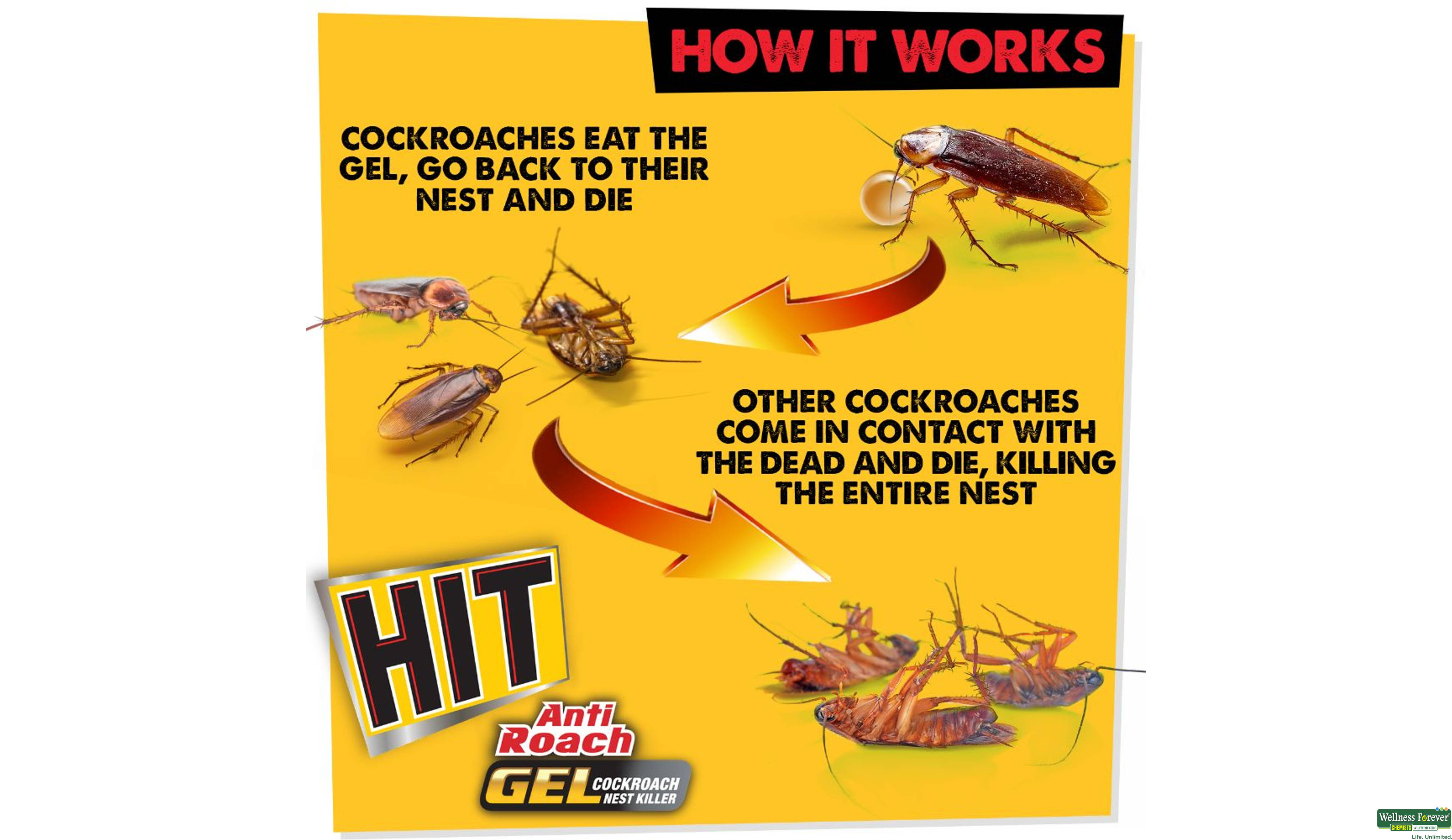 HIT ANTI ROACH GEL 20GM- 5, 20GM, 