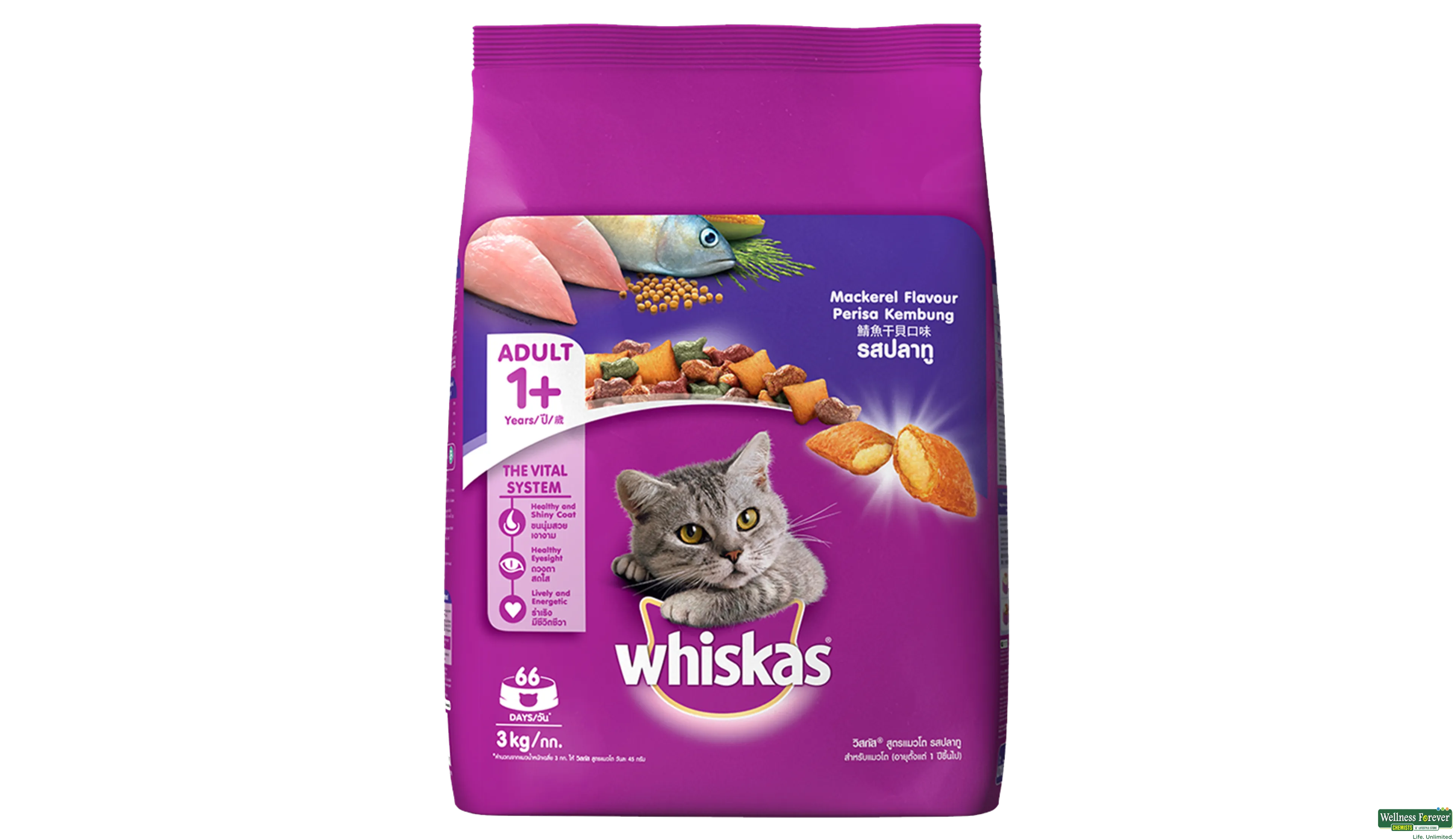 WHISKAS CAT FOOD MACKEREL SALMON 3KG- 1, 3KG, null