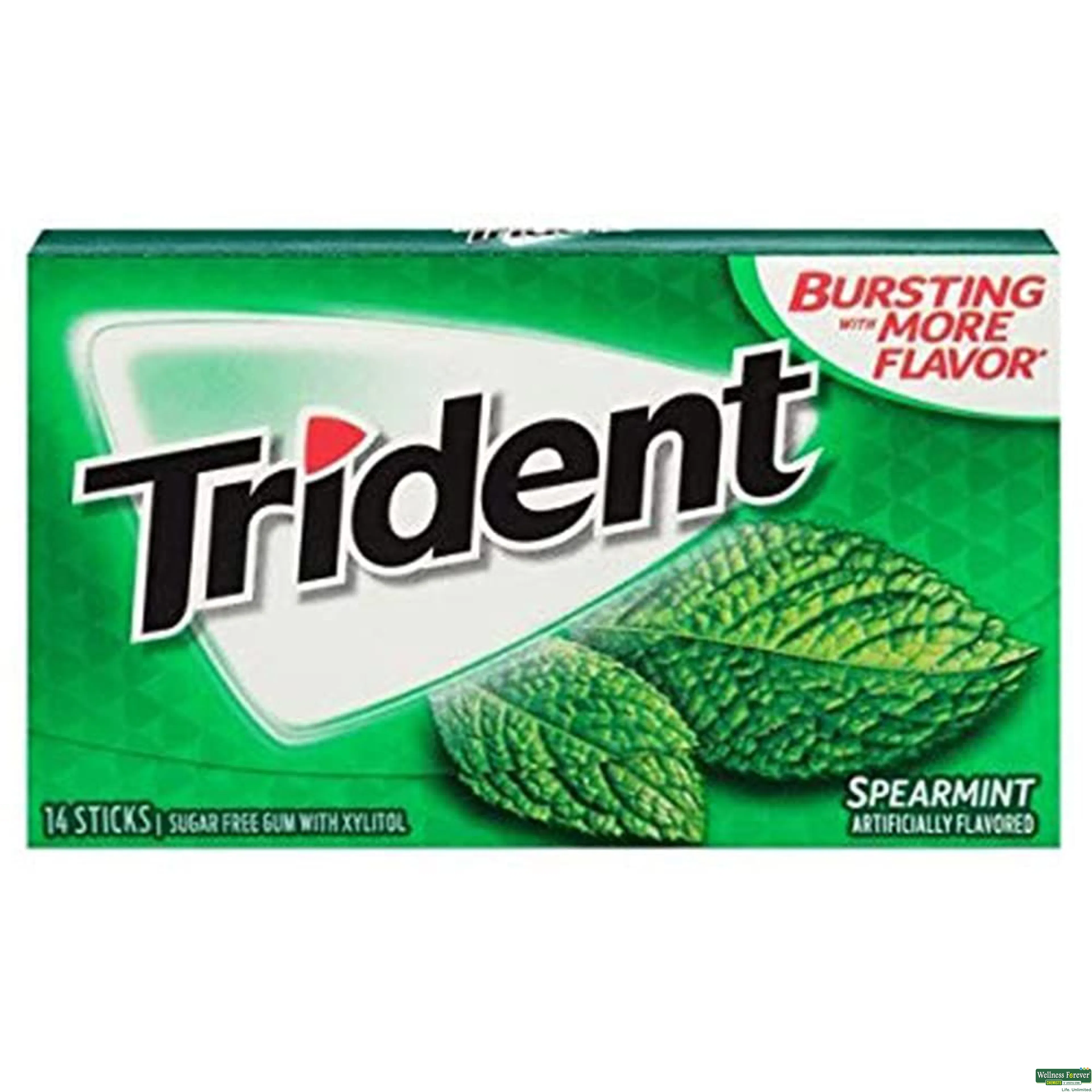 TRIDENT CHEW GUM S/F SPEARMINT 14PC-image