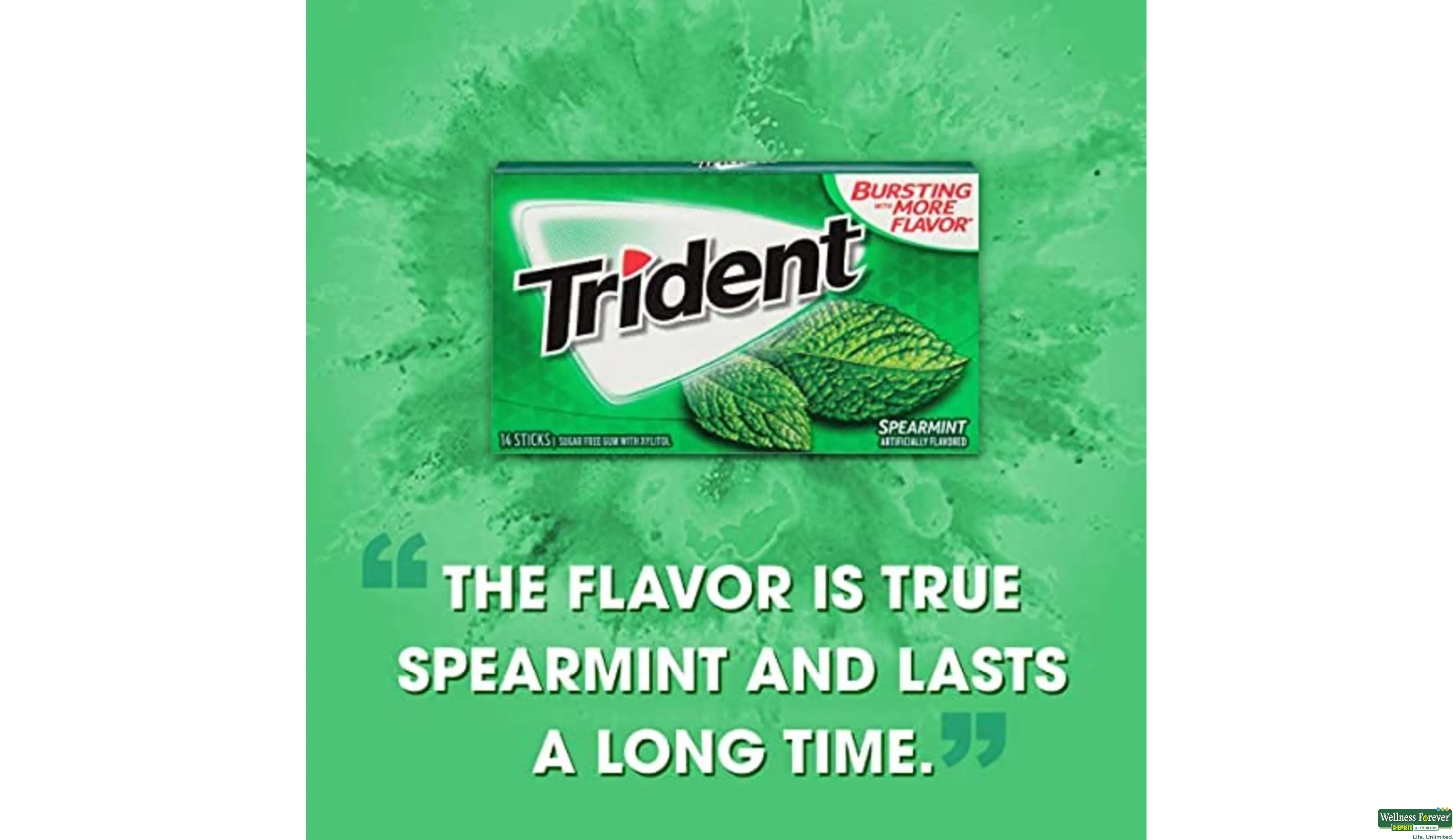 TRIDENT CHEW GUM S/F SPEARMINT 14PC- 3, 14PC, null