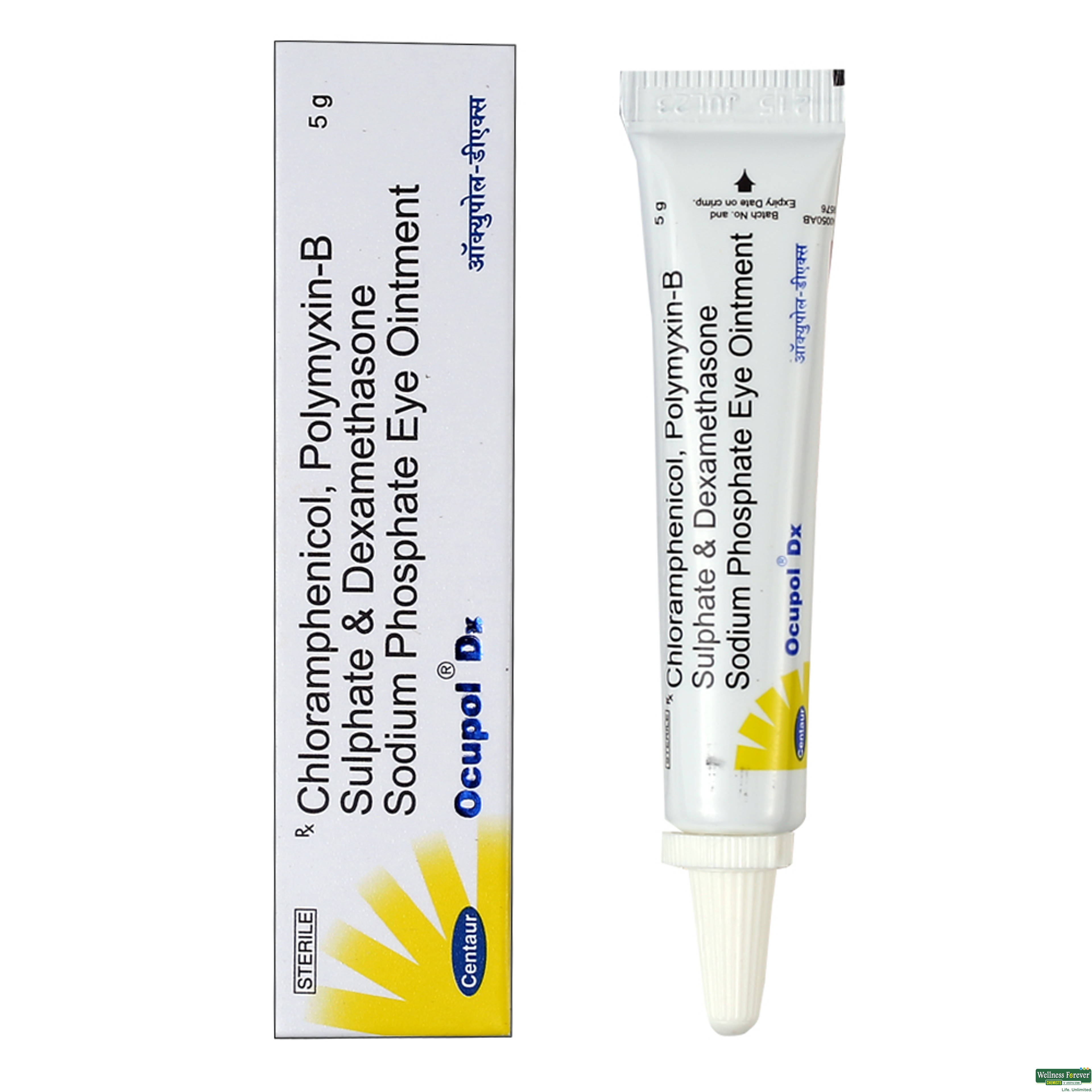 OCUPOL-DX E/OINT 5GM-image