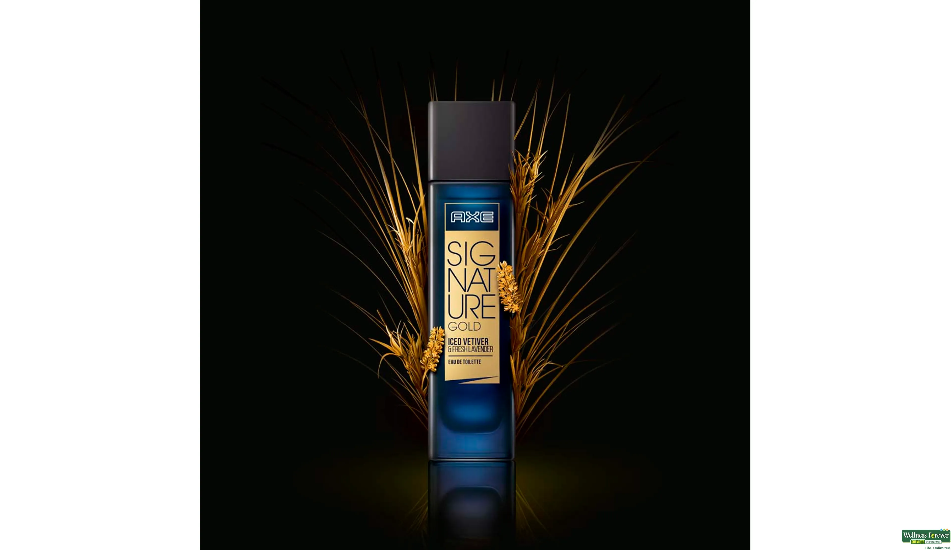 Next signature gold perfume new arrivals