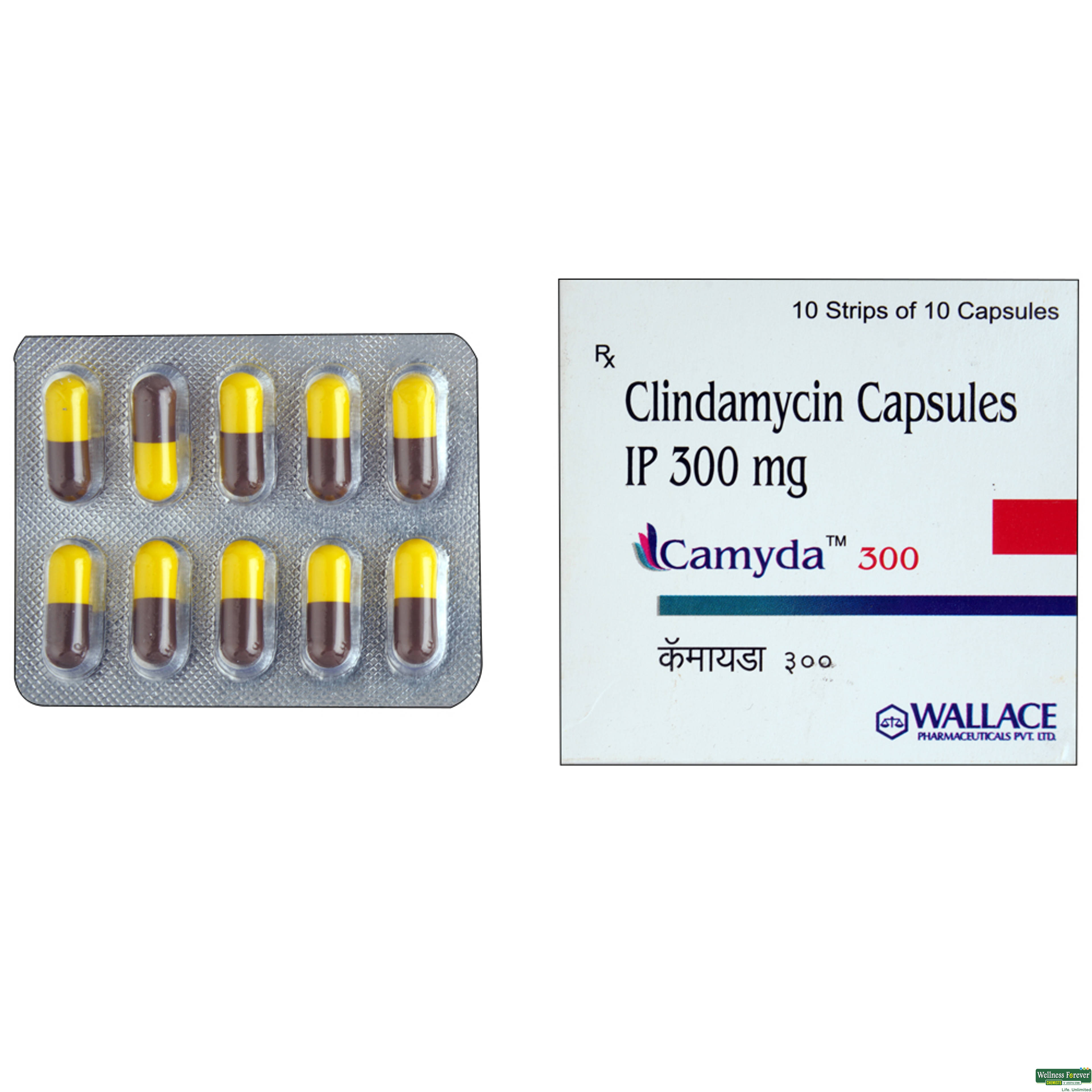 CAMYDA 300MG 10CAP-image