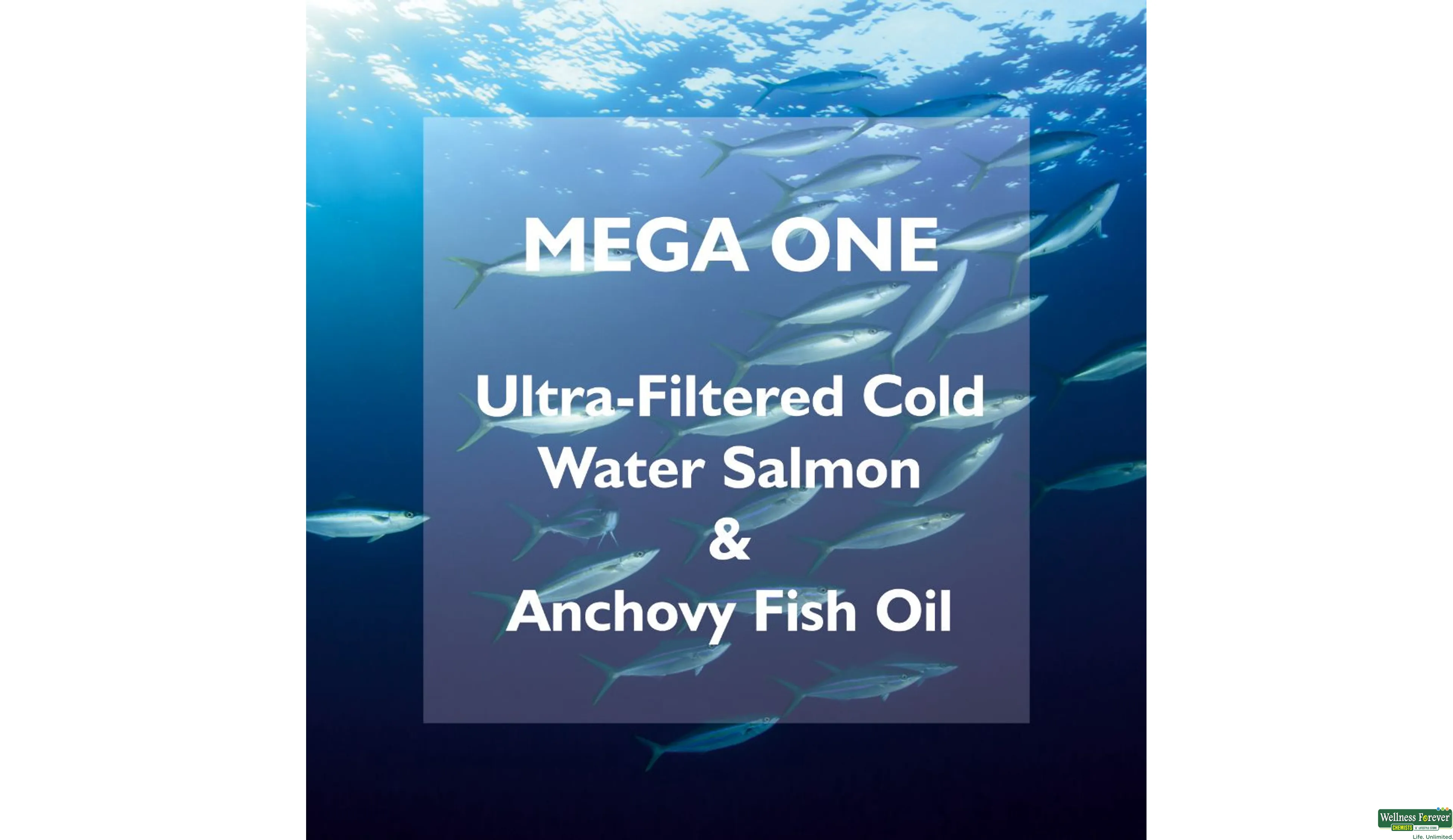 ONELIFE MEGA-ONE SOFTGEL 60CAP- 3, 60CAP, 