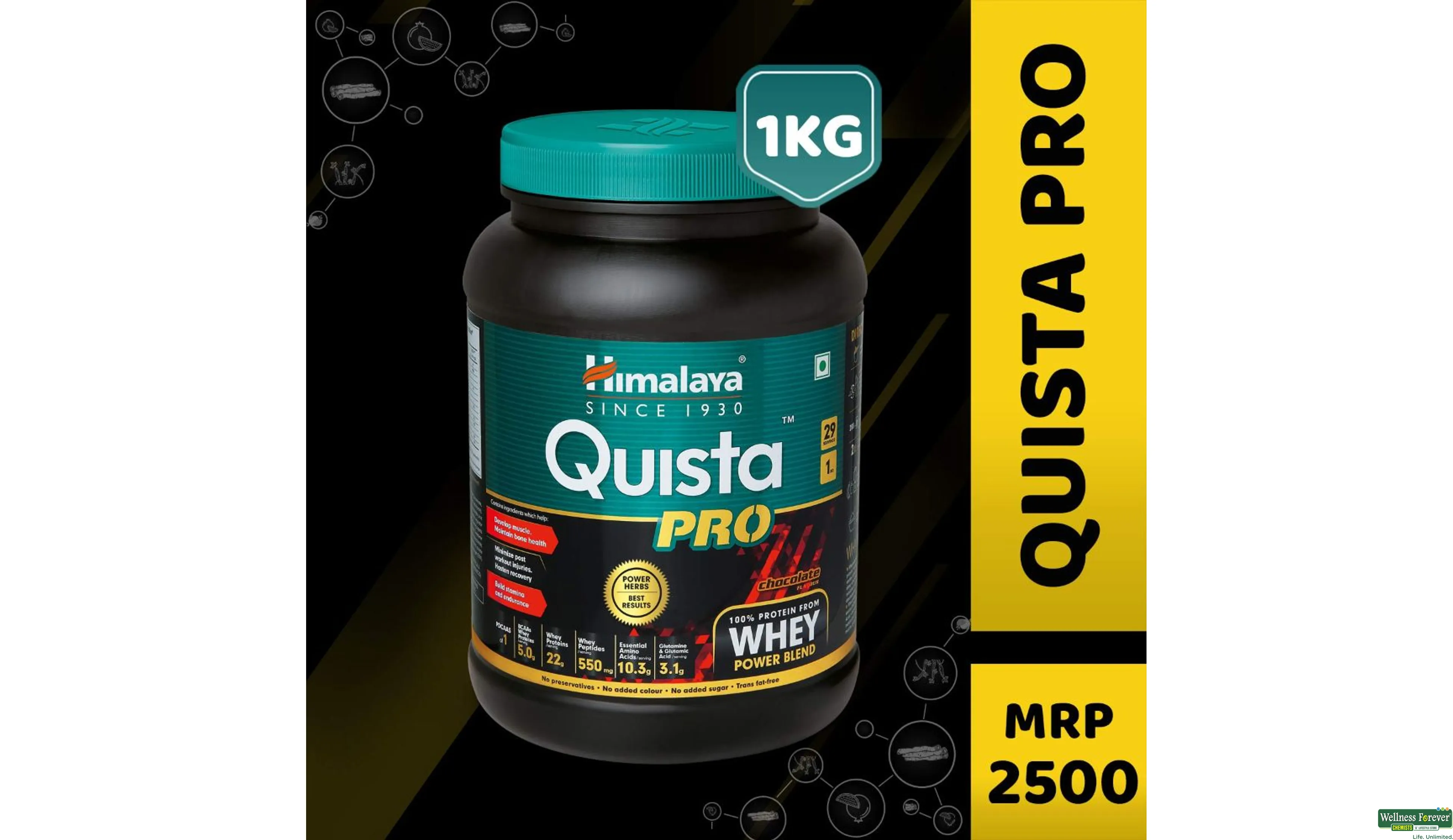 Himalaya quista pro top