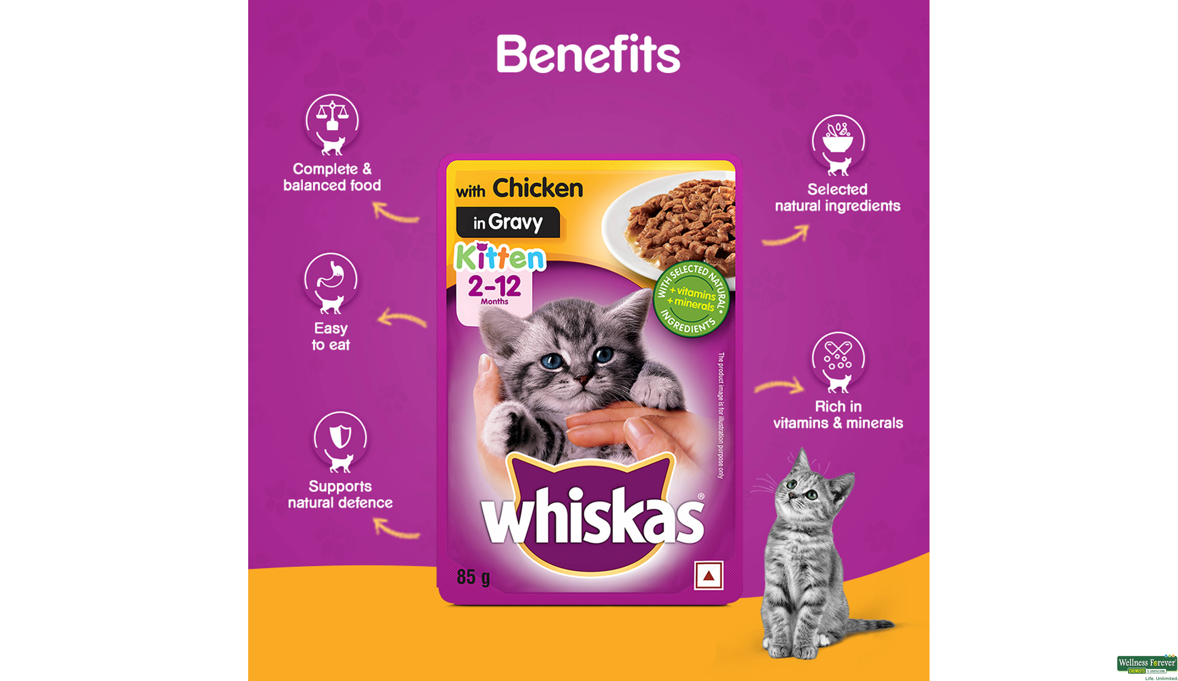 WHISKAS KITTEN CAT FOOD CHICK GRAVY 85GM- 3, 85GM, null