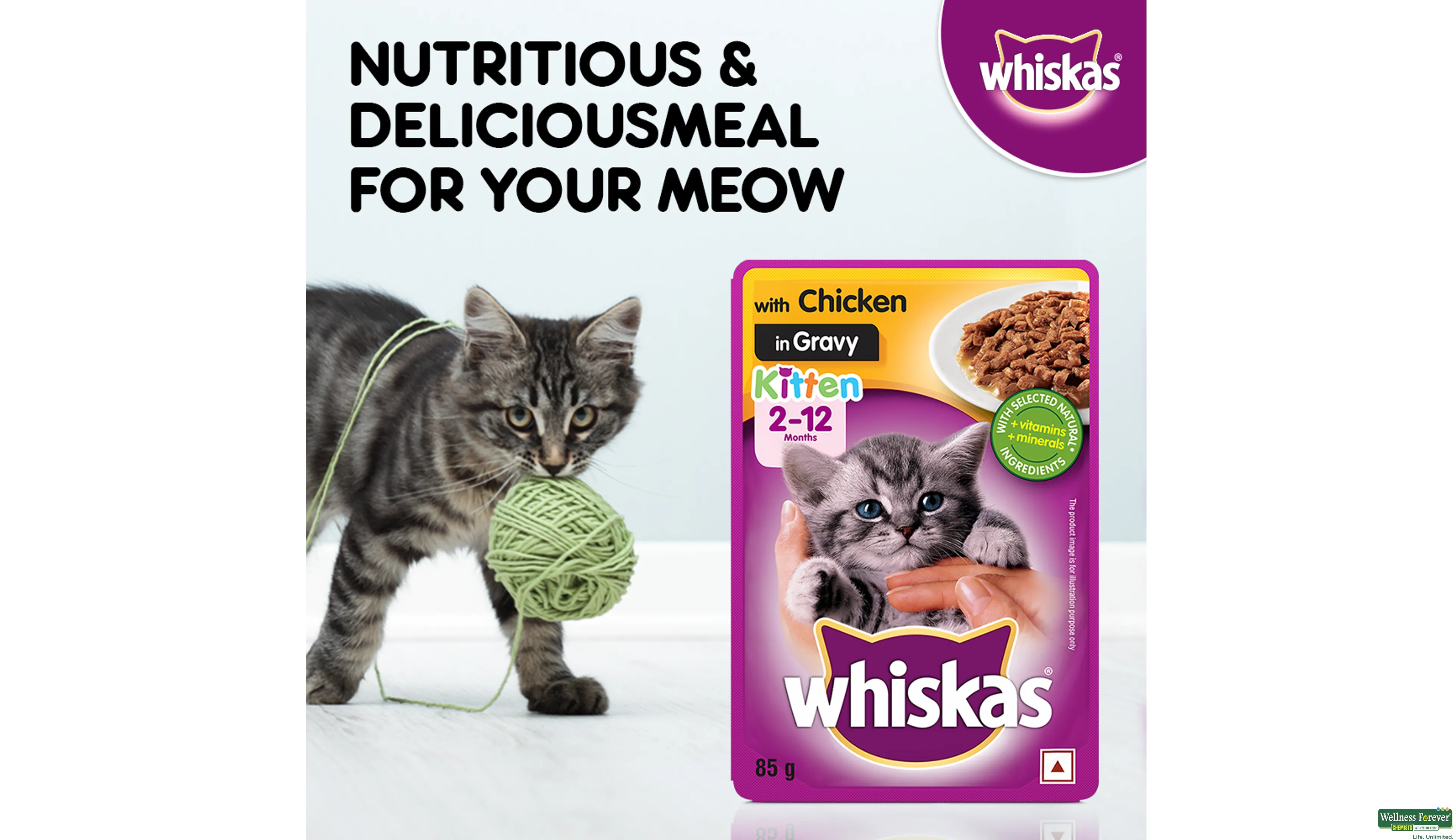 WHISKAS KITTEN CAT FOOD CHICK GRAVY 85GM- 8, 85GM, null