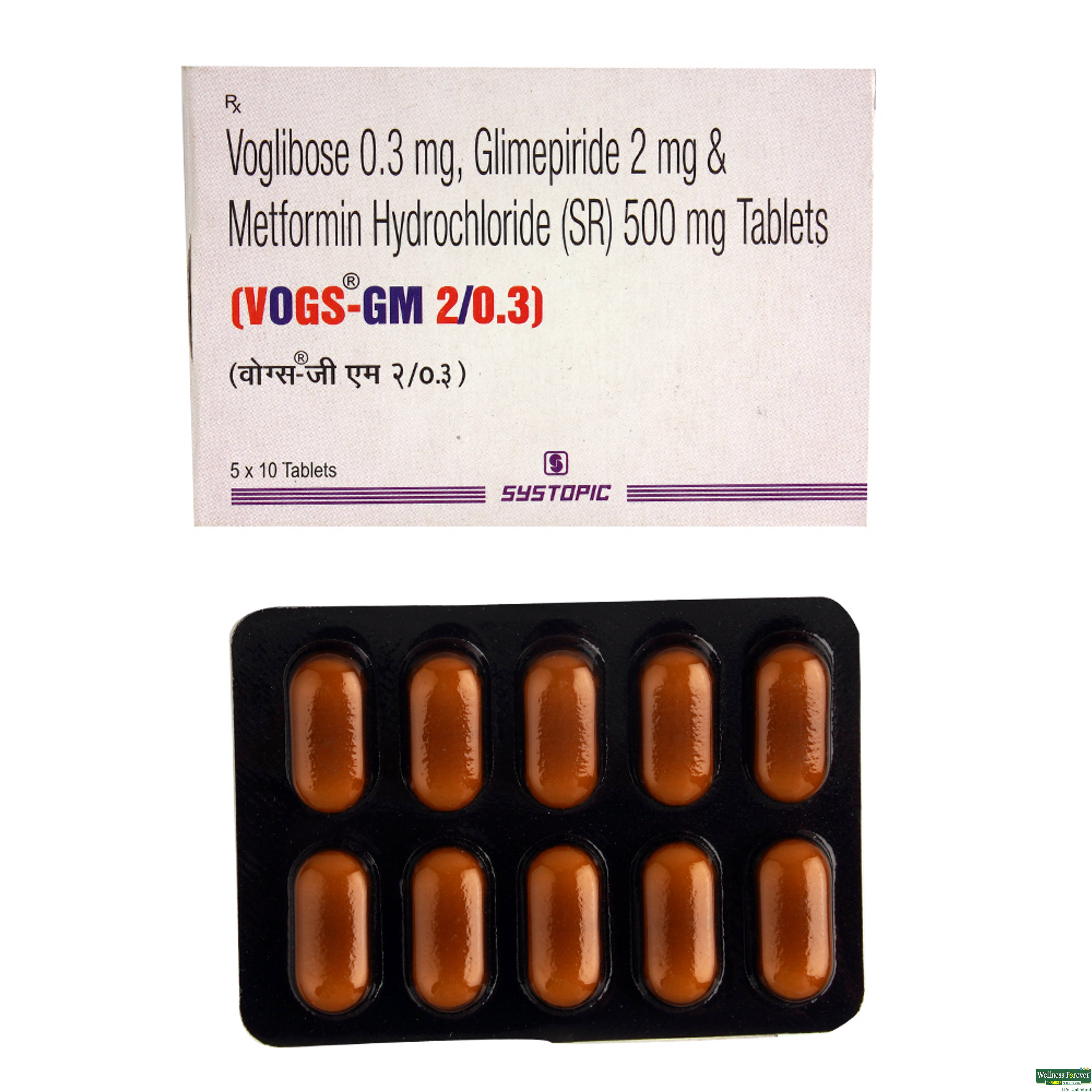 Vogs-GM 2/0.3mg 10 Tablets-image