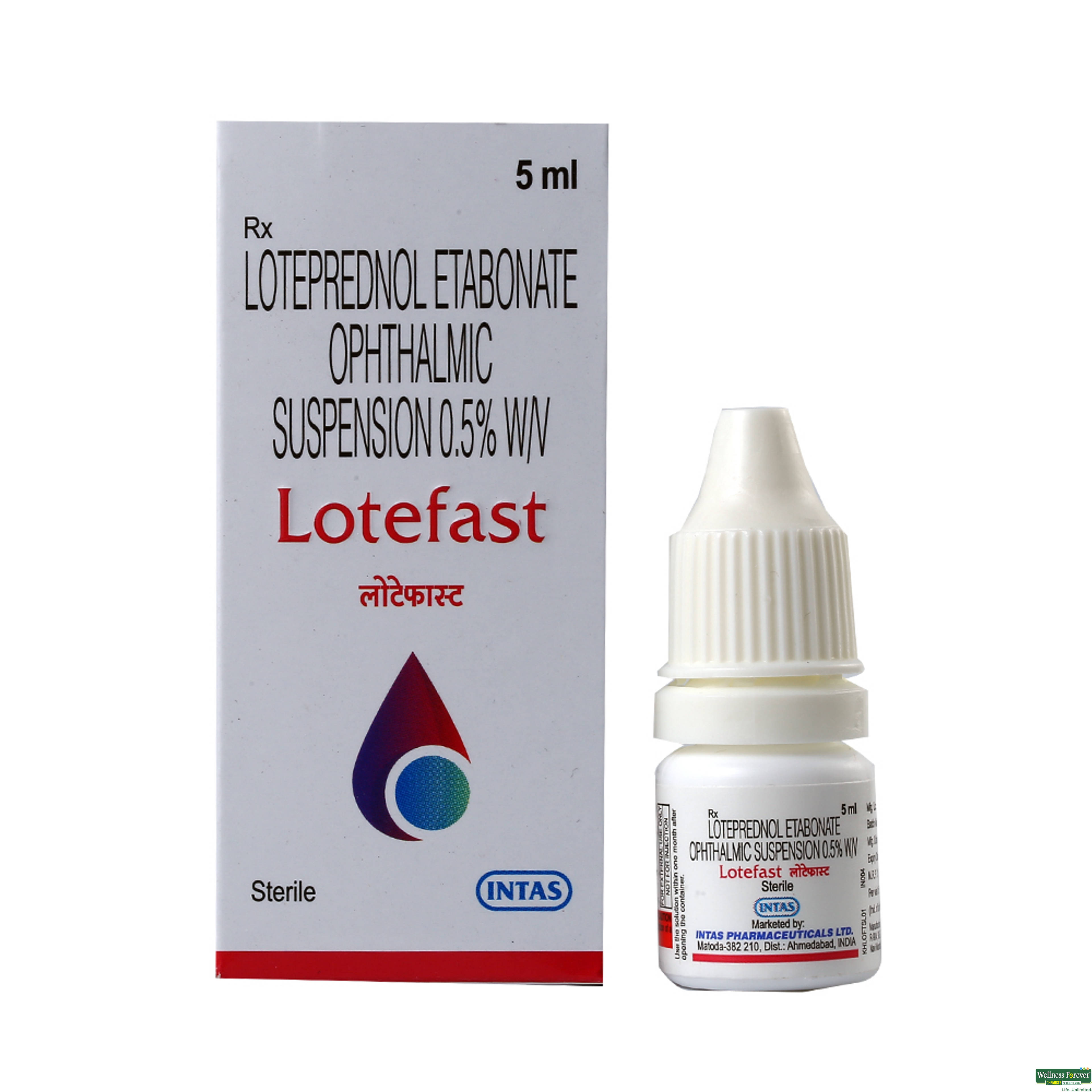 LOTEFAST E/DROPS 5ML-image