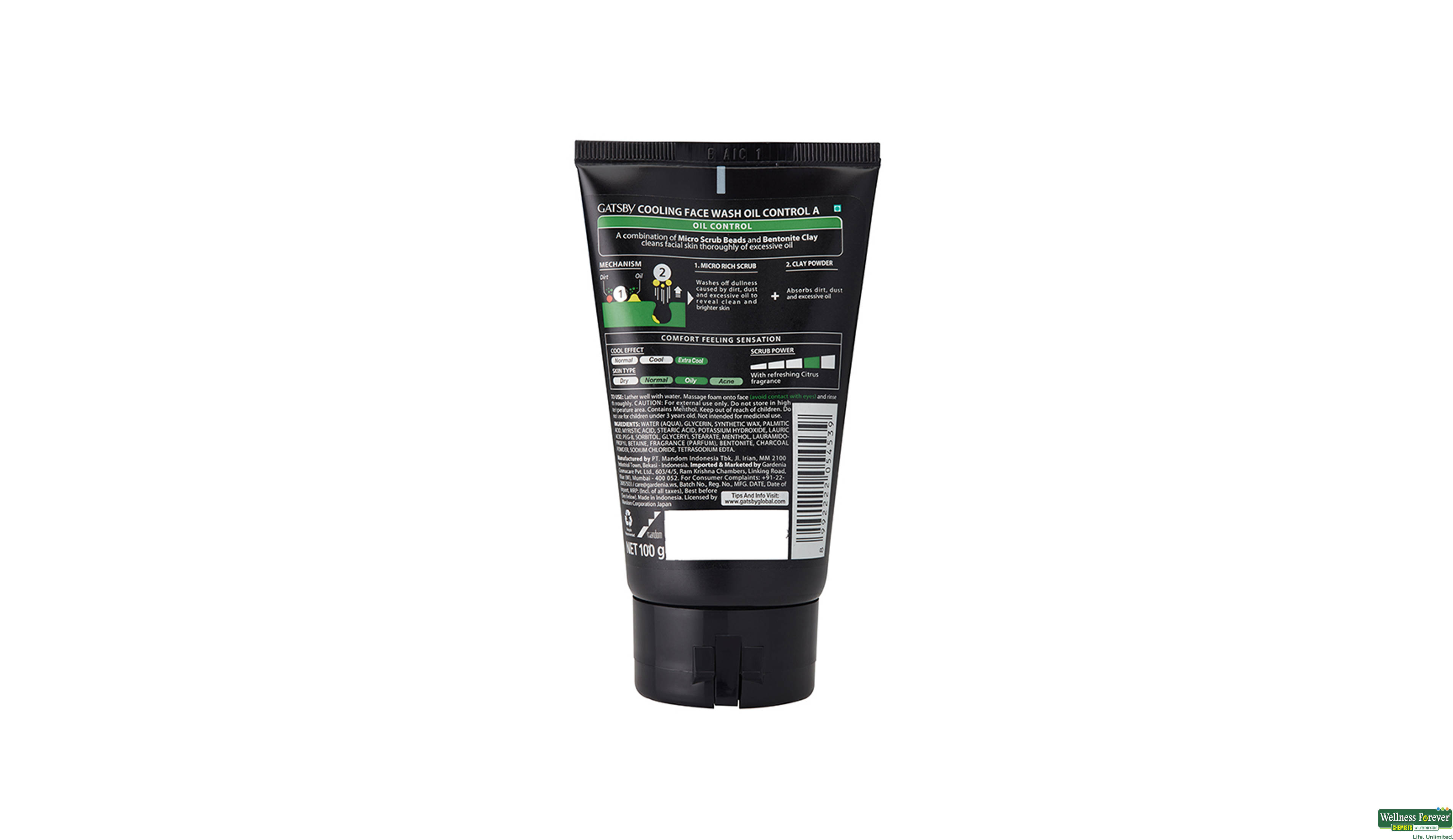 GATSBY F/WASH OIL CONTROL 100GM- 2, 100GM, null