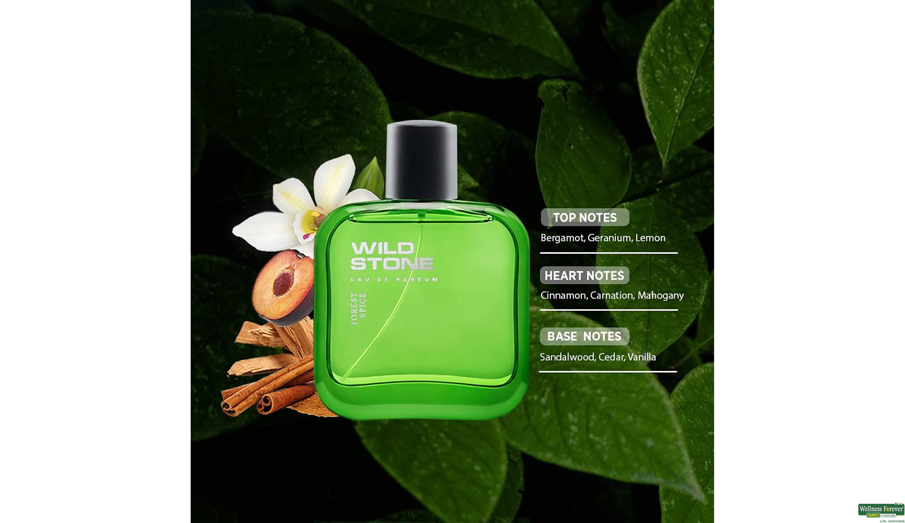 WILD STONE PERF FOREST SPICE 100ML- 3, 100ML, 