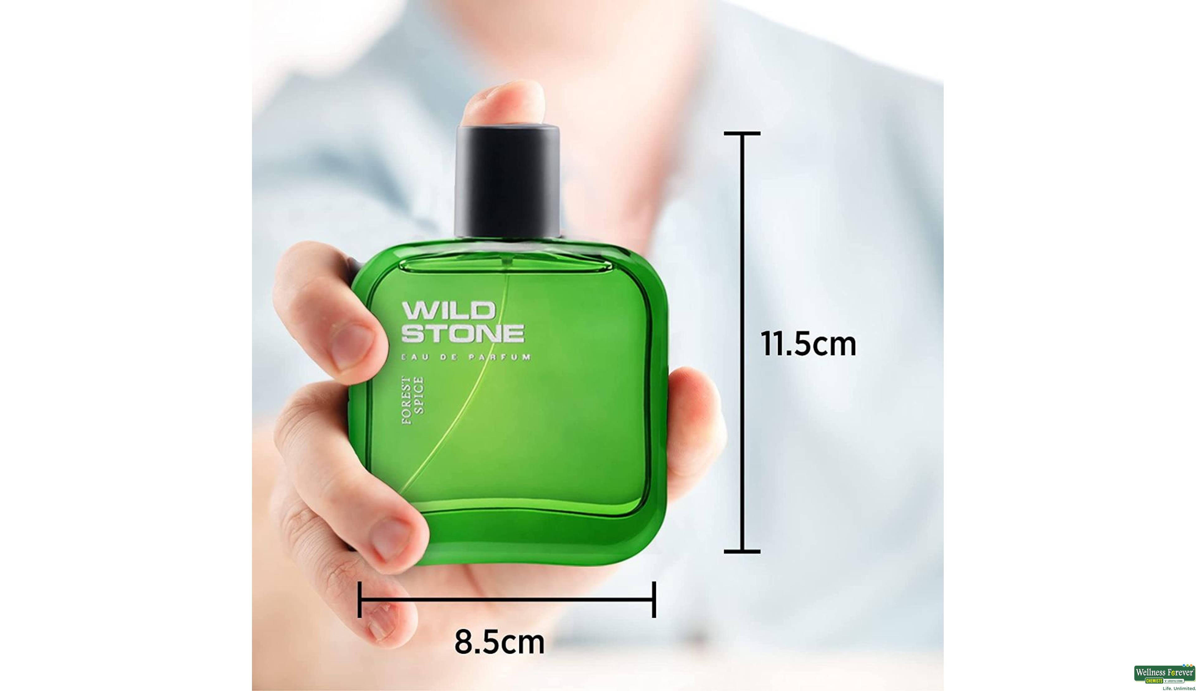 WILD STONE PERF FOREST SPICE 100ML- 4, 100ML, 
