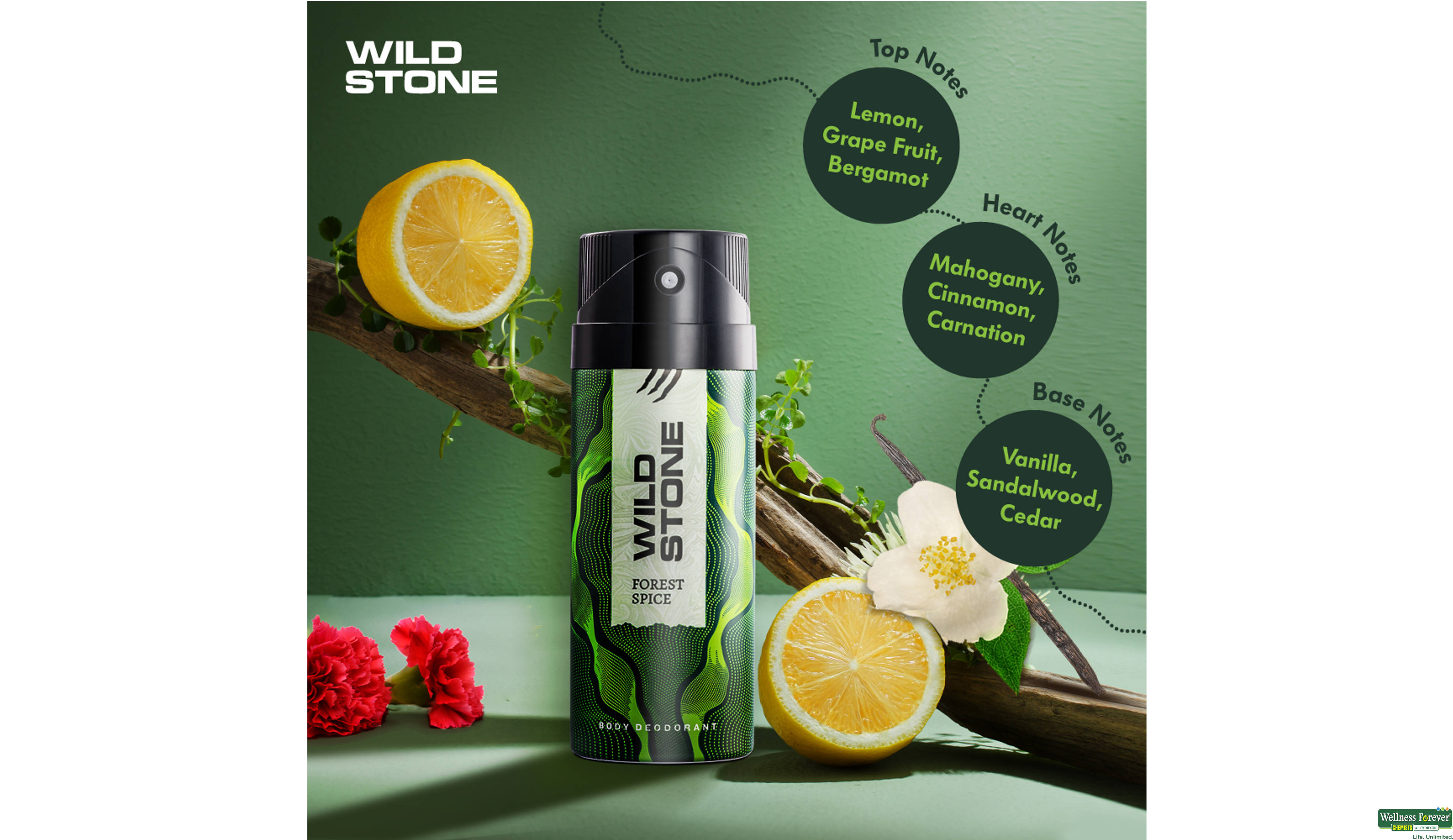 WILD STONE FOREST SPICE 150ML- 3, 150ML, null