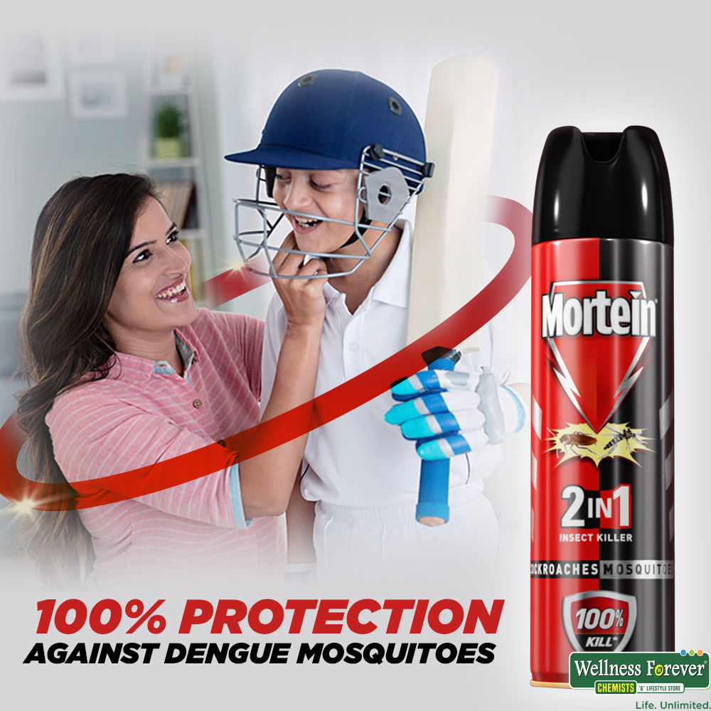 Buy Mortein 2-In-1 Insect Killer Spray, 250 ml Online at Best