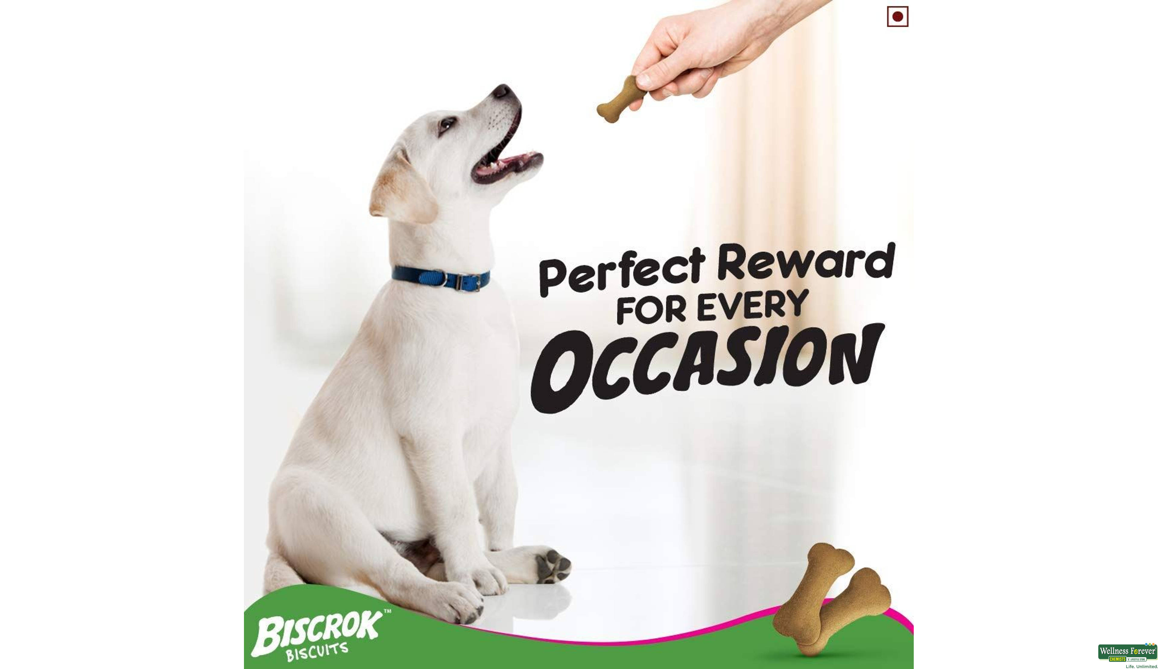 PEDIGREE BISCROK BISC MILK/CHICKEN 500GM- 8, 500GM, null