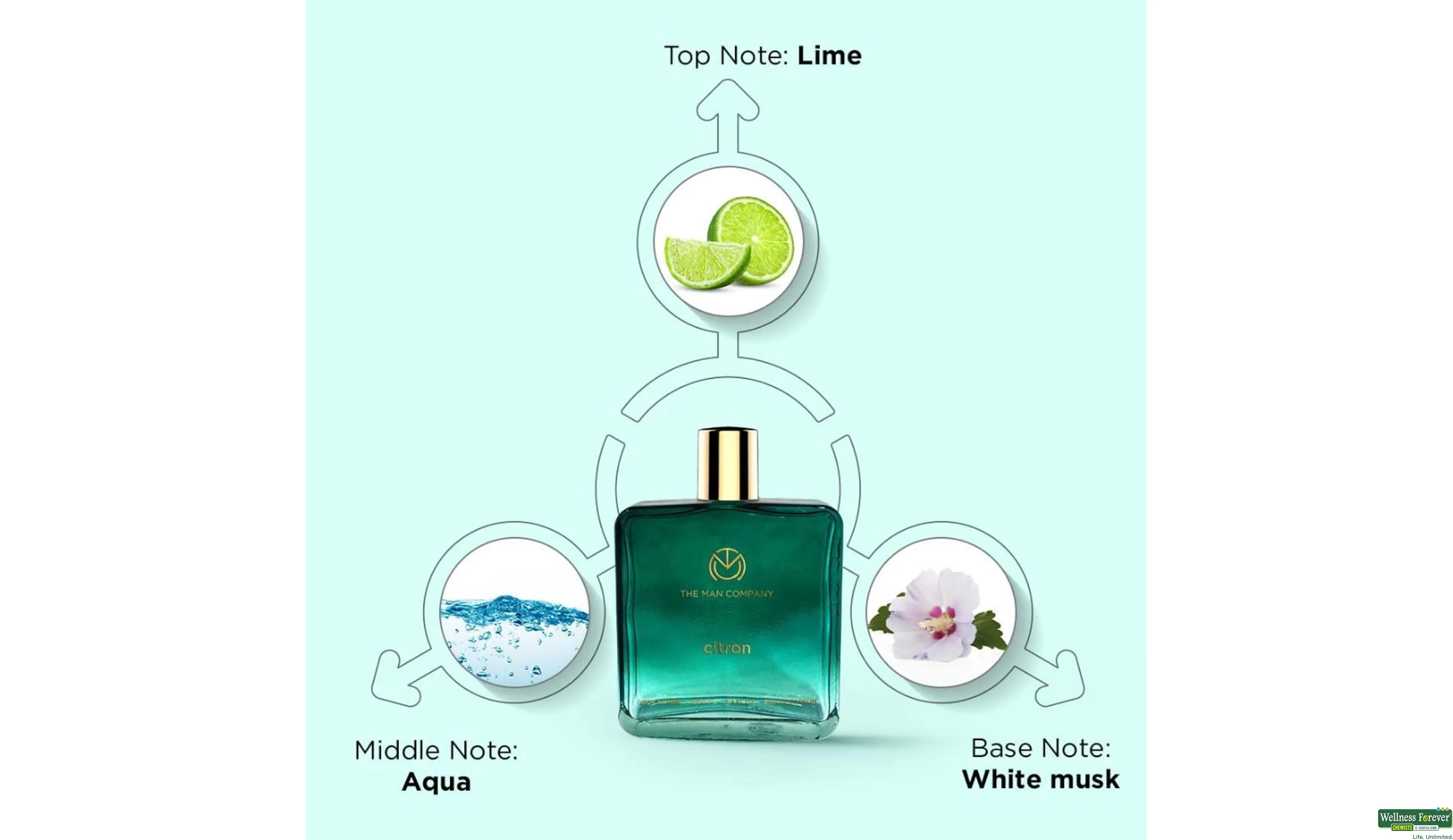 Mysterious paradise perfume discount