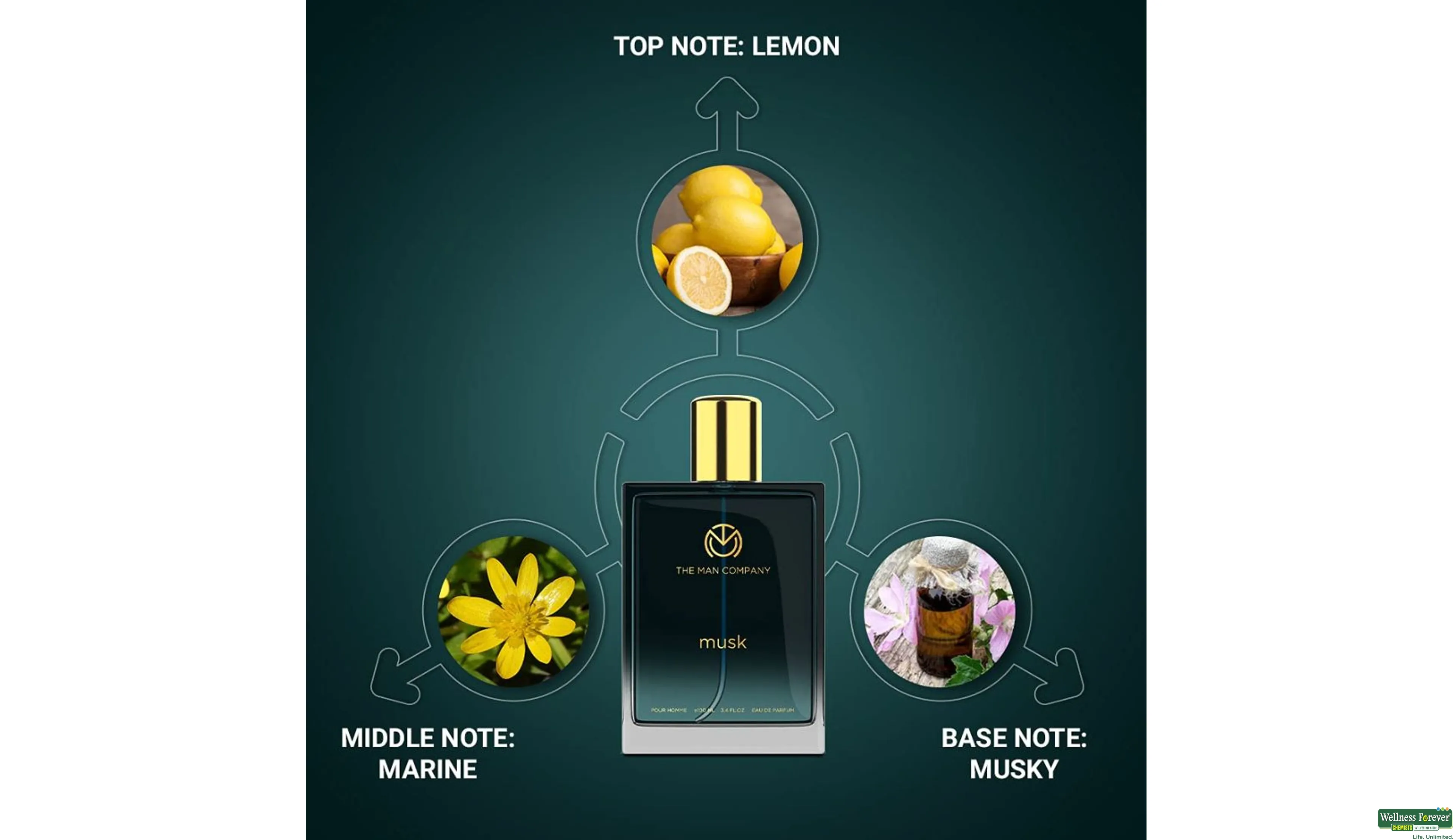 Men musk discount