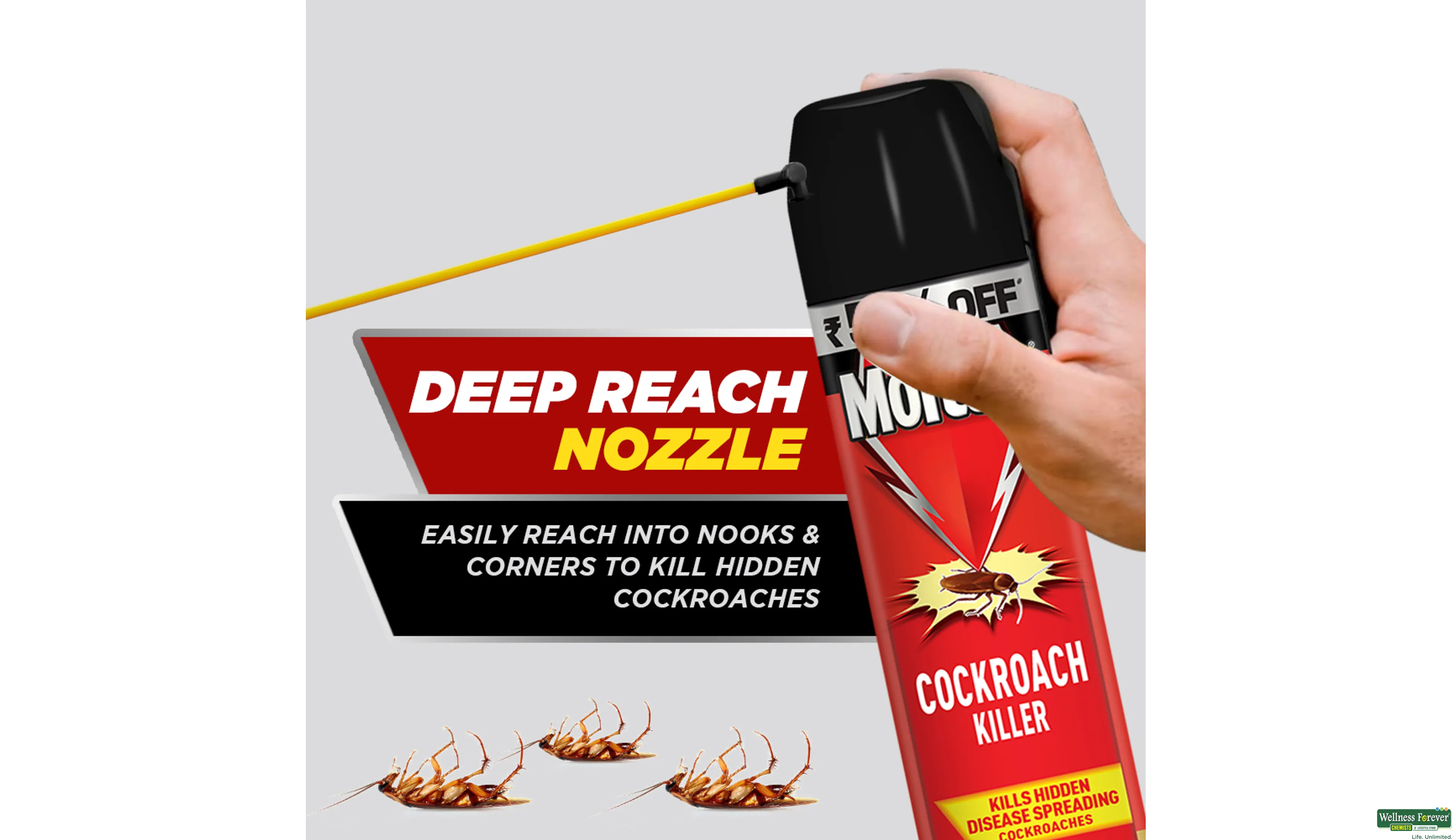 MORTEIN SPRAY COCKROCH KILL 400ML- 6, 400ML, 