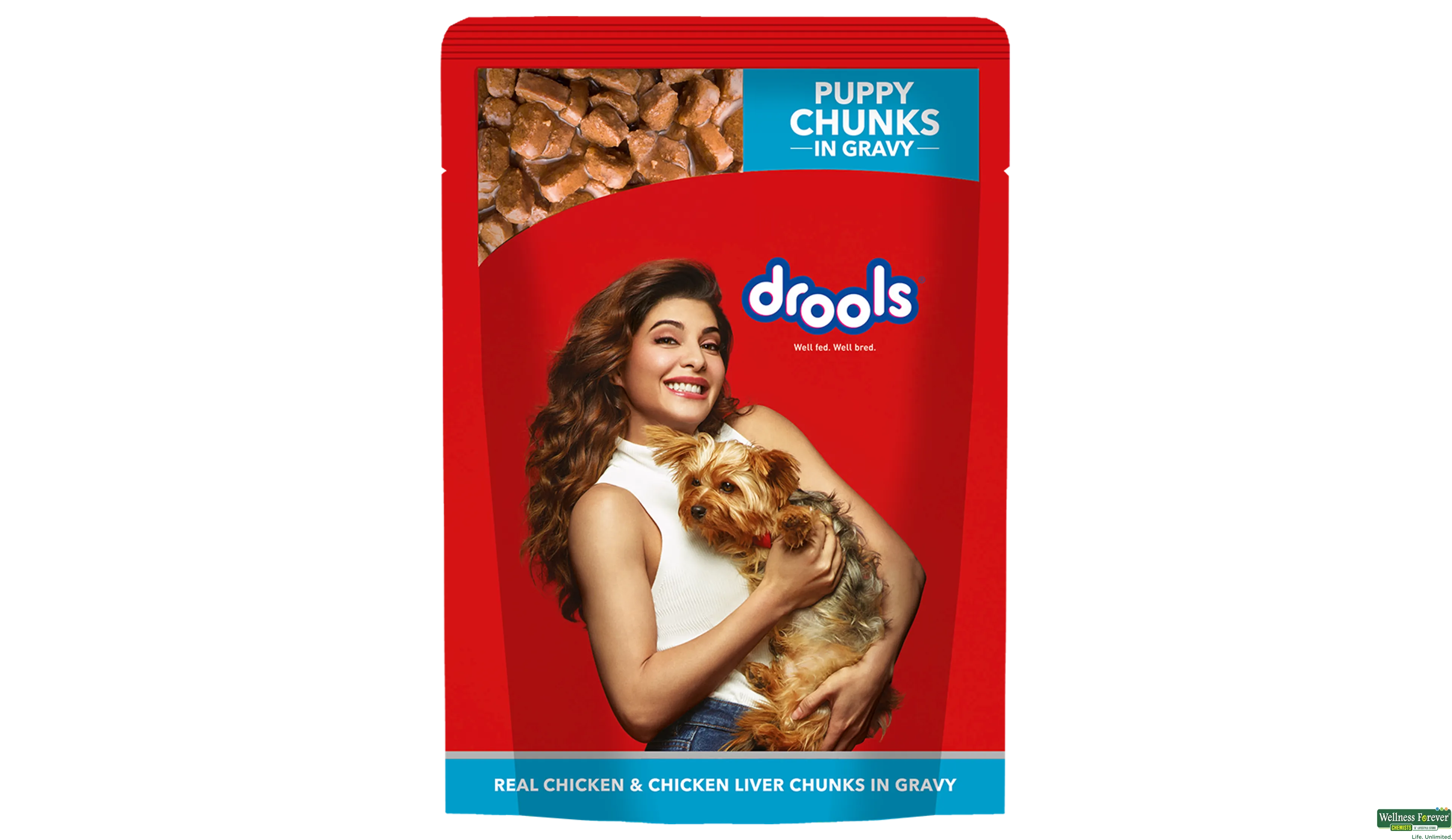 Drools top wet food
