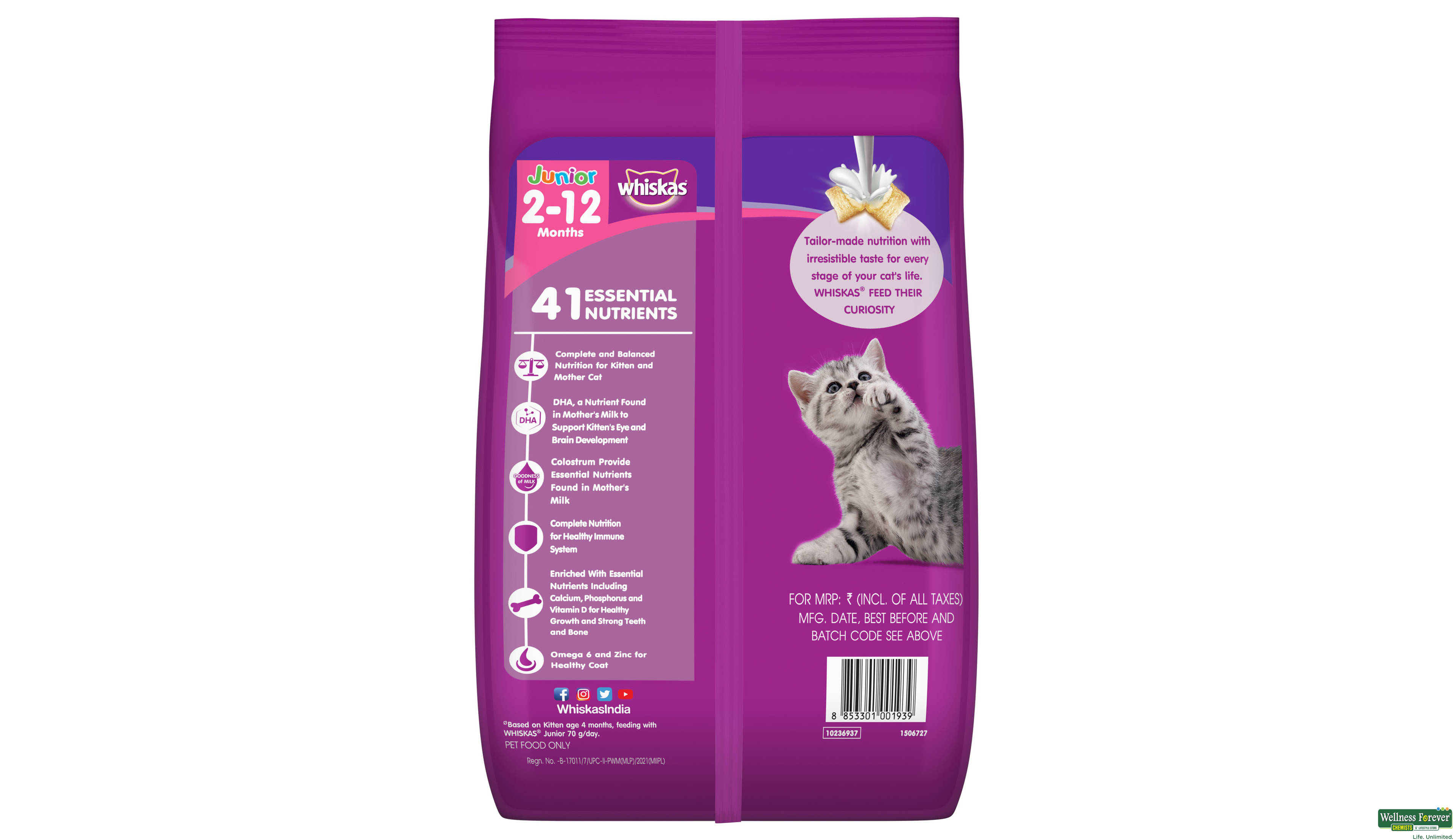 WHISKAS CAT FOOD DRY JUNIOR MACKEREL 1.1KG- 5, 1.1KG, 