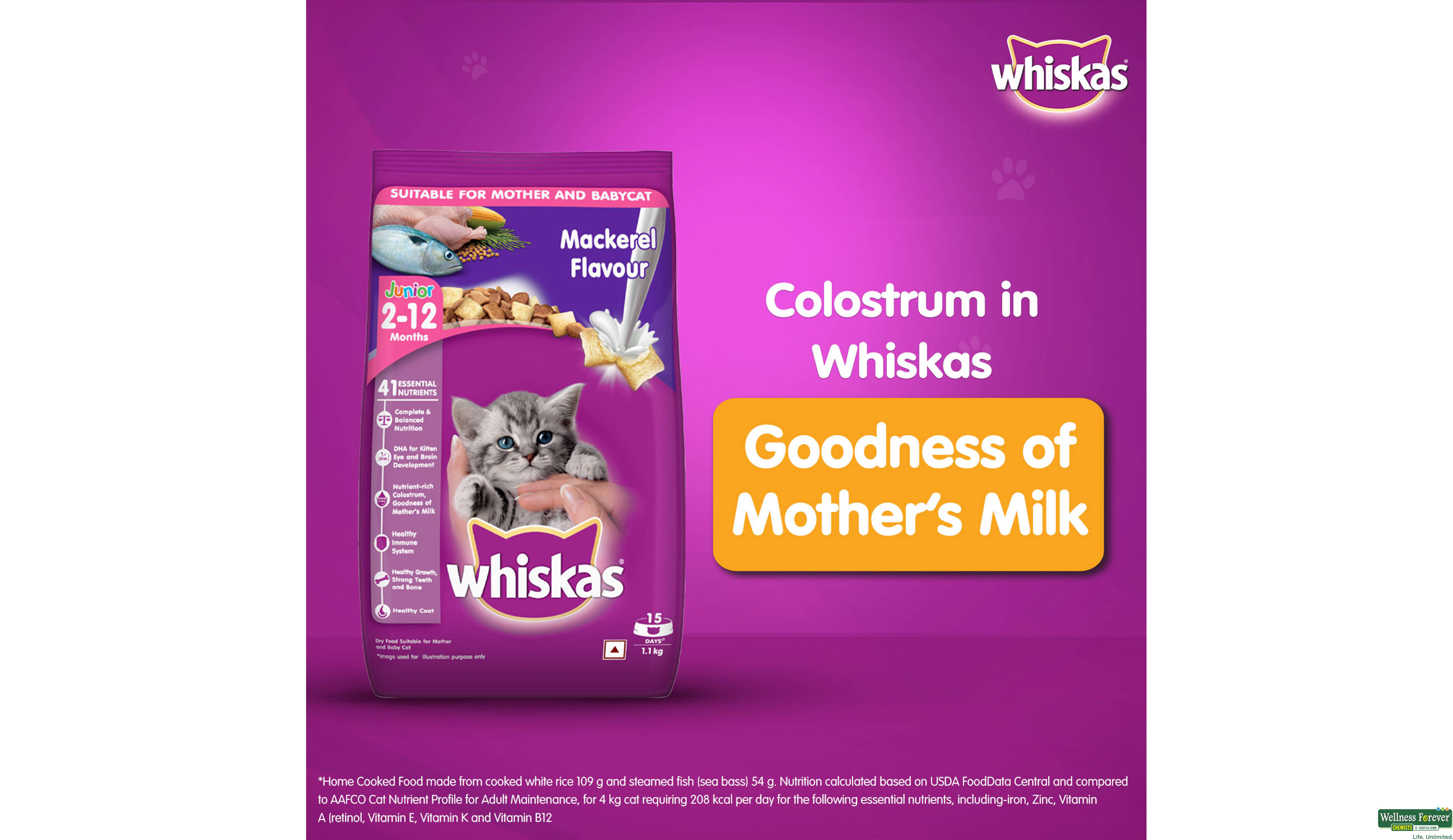 WHISKAS CAT FOOD DRY JUNIOR MACKEREL 1.1KG- 6, 1.1KG, 