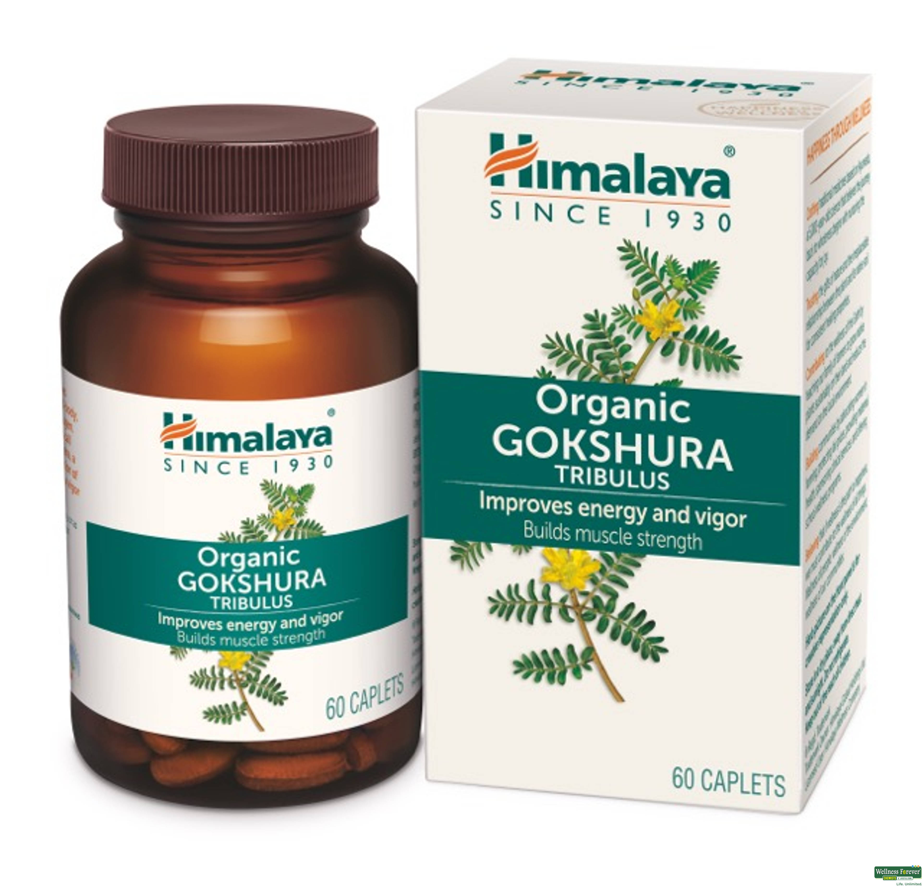 HIMALAYA ORGANIC GOKSHURA 60TAB-image