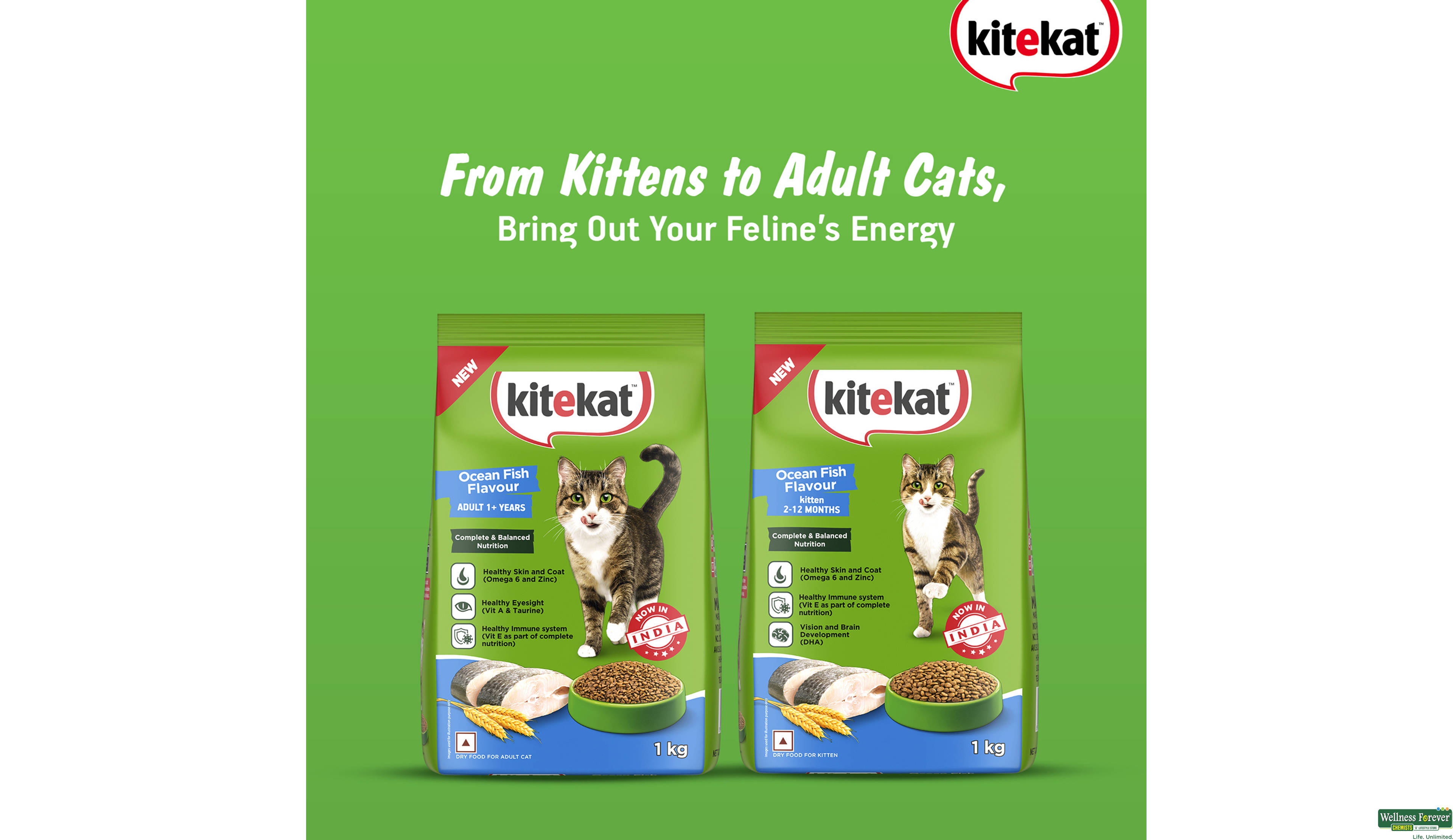 KITEKAT ADULT OCEANFISH 1KG- 2, 1KG, null